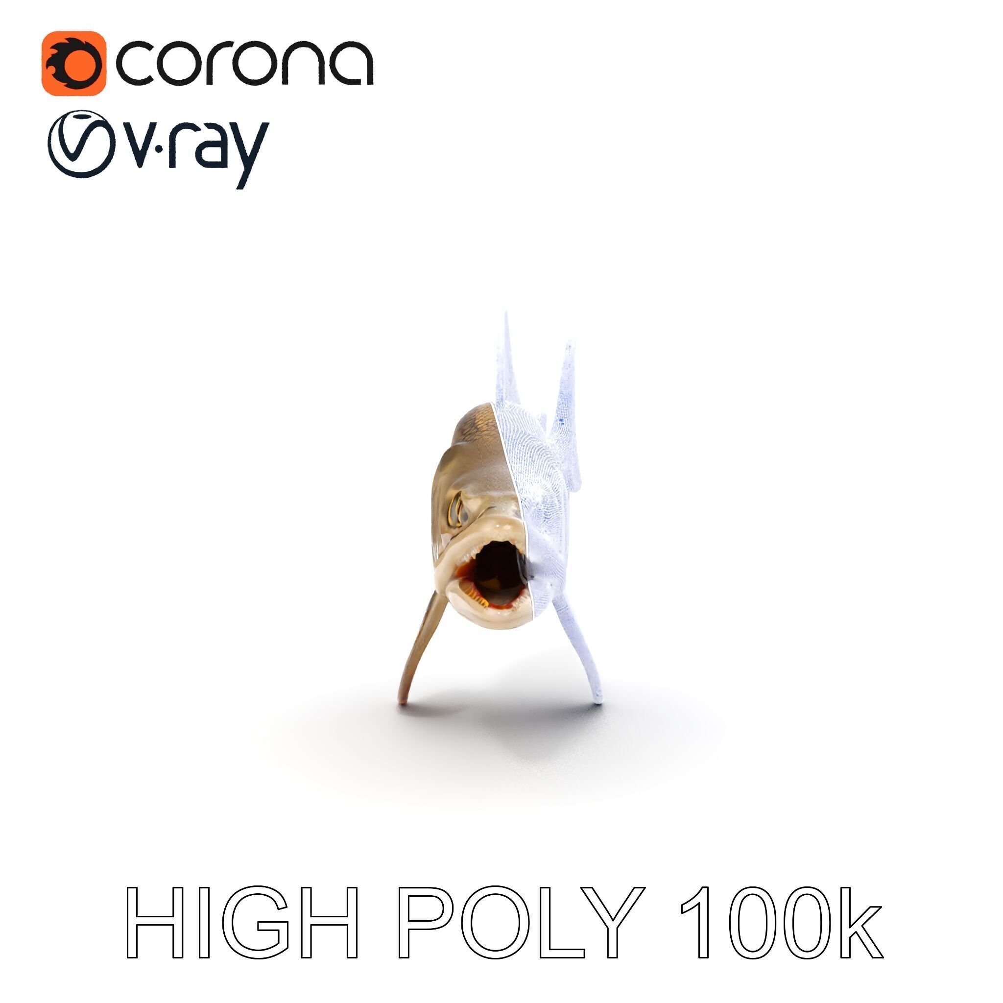 Prehistoric Fish D Model Pack with PBR Textures Low-poly 3D model_32