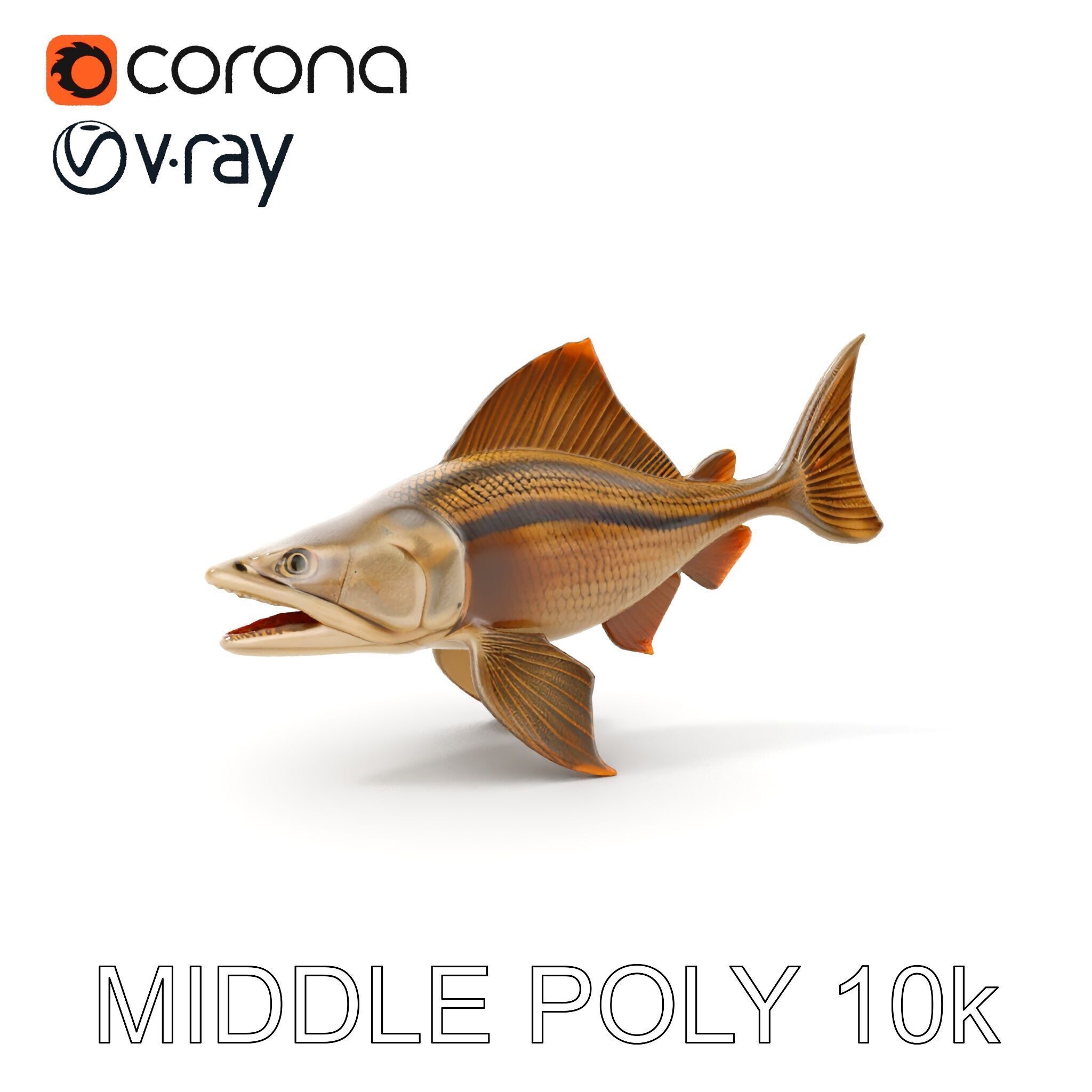 Prehistoric Fish D Model Pack with PBR Textures Low-poly 3D model_8