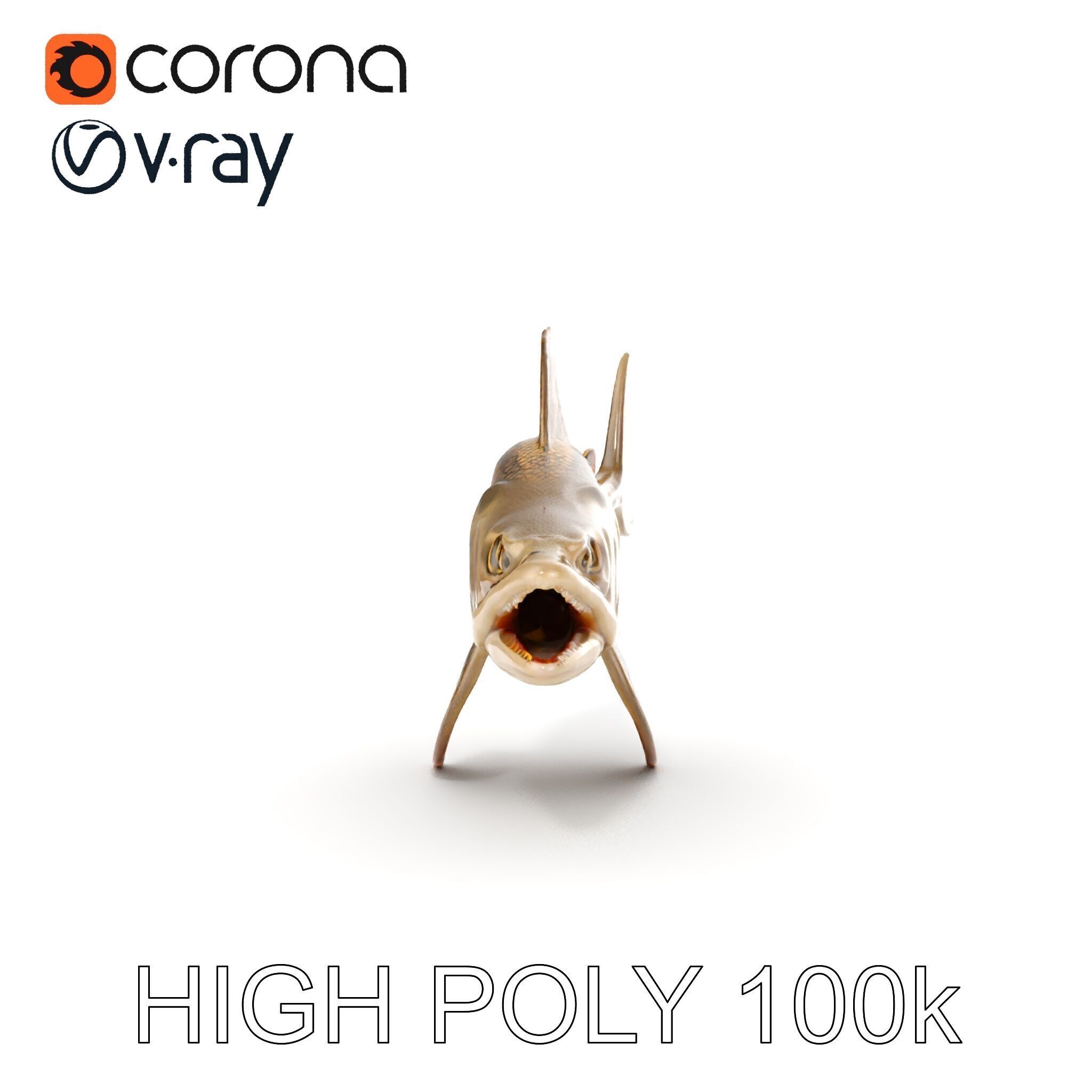 Prehistoric Fish D Model Pack with PBR Textures Low-poly 3D model_18