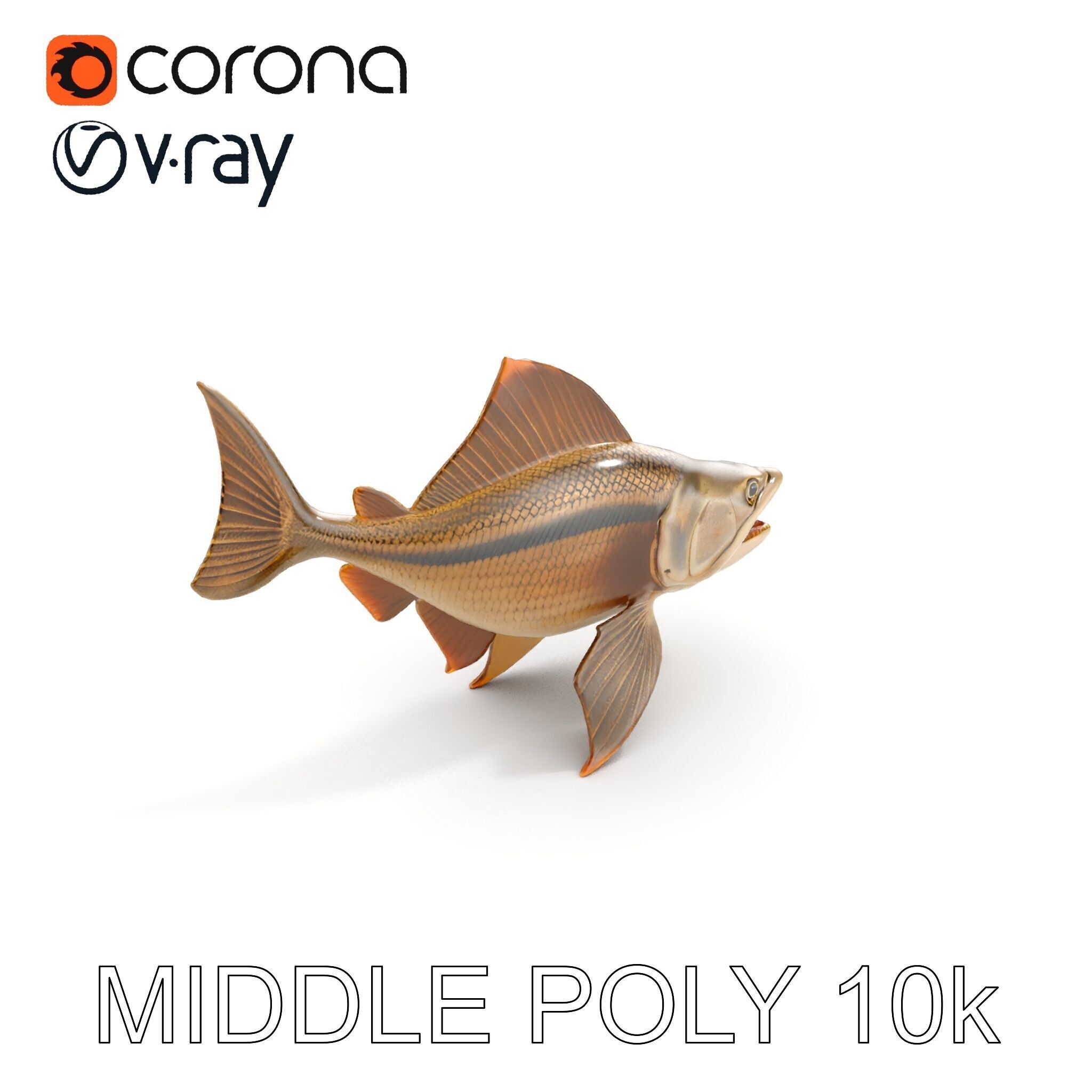 Prehistoric Fish D Model Pack with PBR Textures Low-poly 3D model_6
