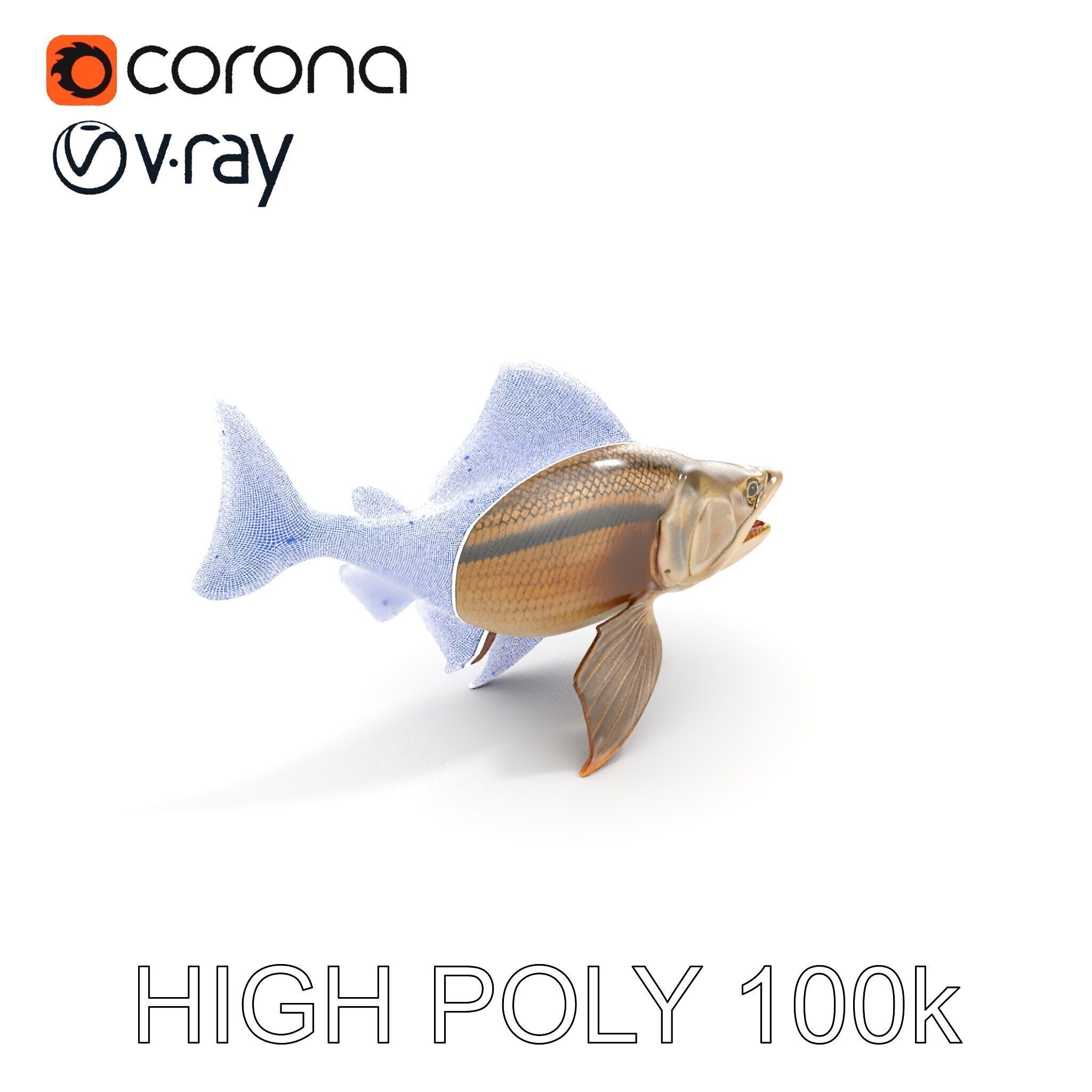 Prehistoric Fish D Model Pack with PBR Textures Low-poly 3D model_23