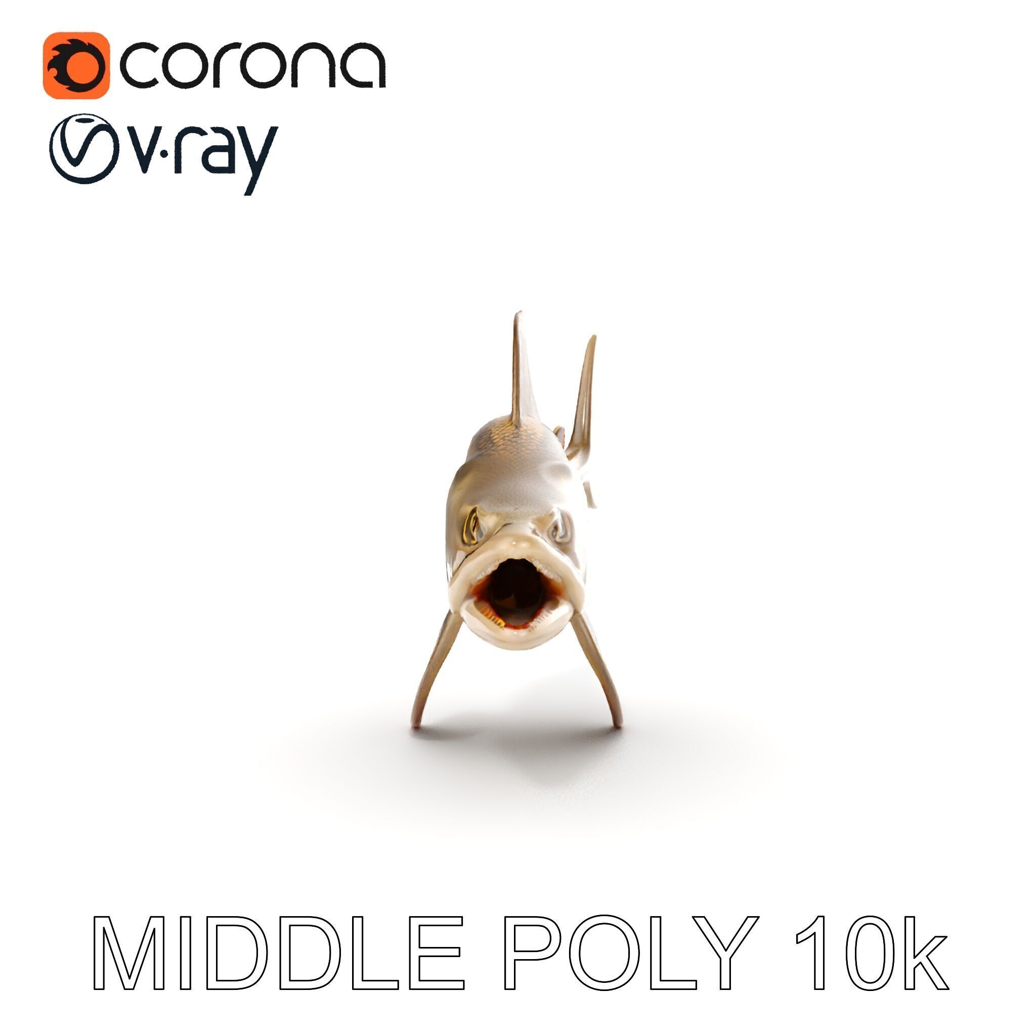 Prehistoric Fish D Model Pack with PBR Textures Low-poly 3D model_21