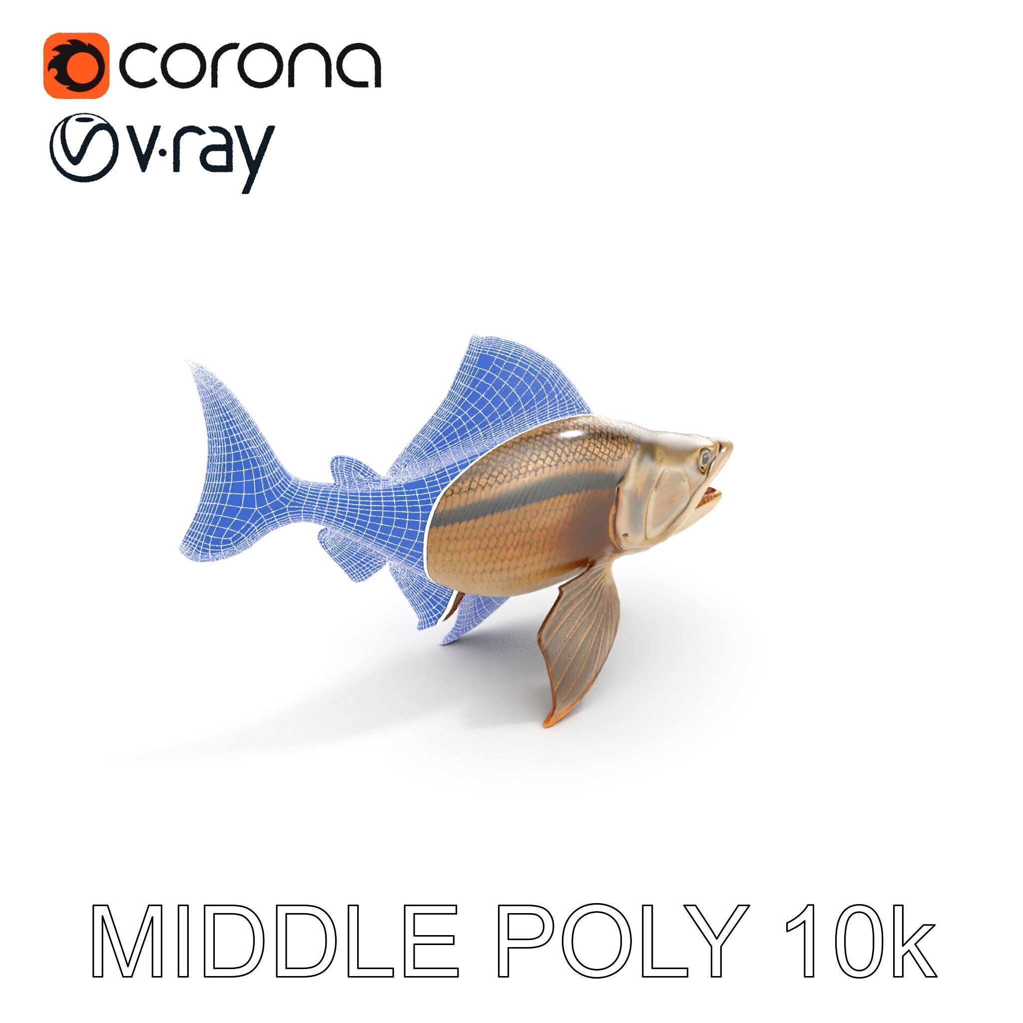 Prehistoric Fish D Model Pack with PBR Textures Low-poly 3D model_19