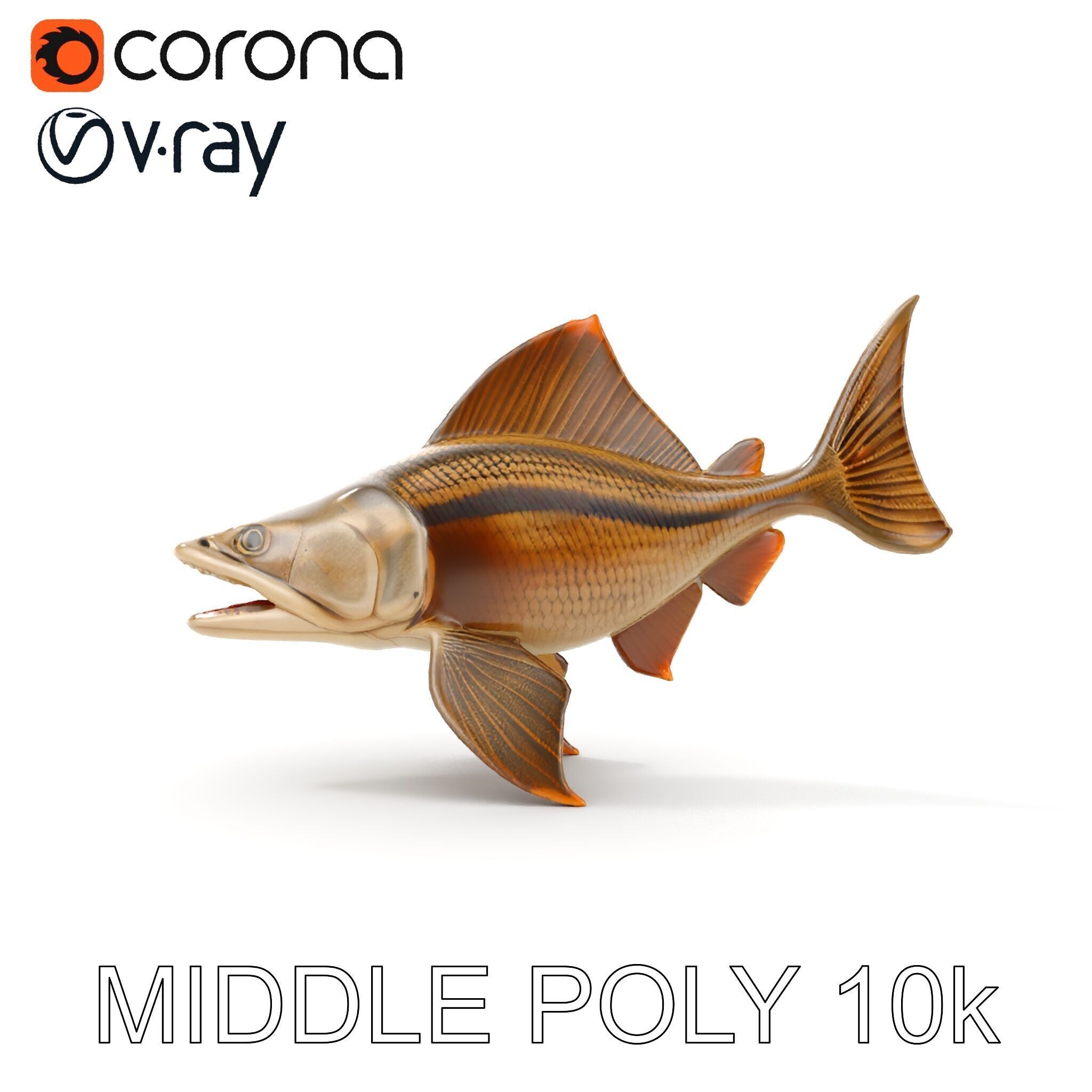 Prehistoric Fish D Model Pack with PBR Textures Low-poly 3D model_11