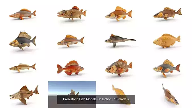 Prehistoric Fish Models Collection 