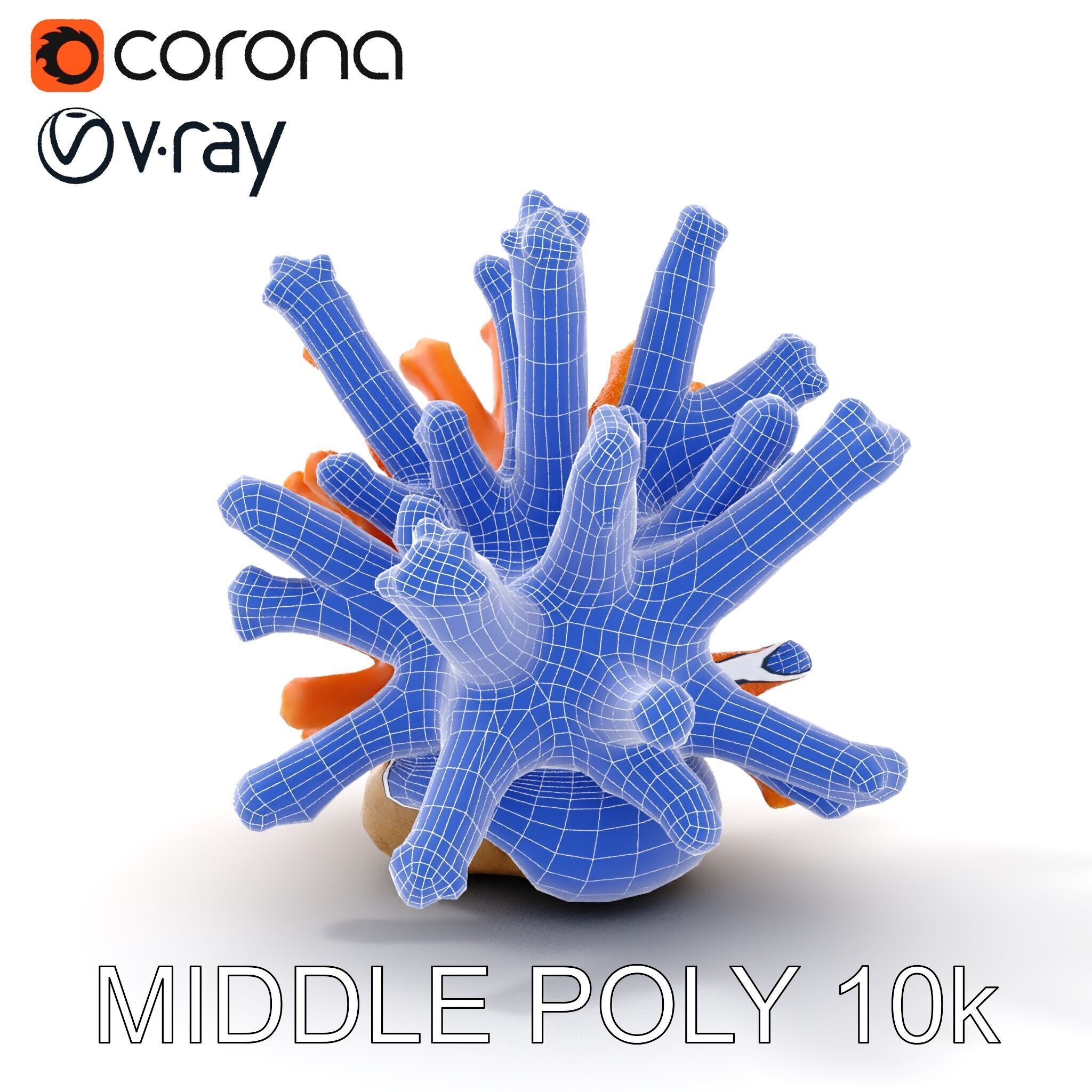 Realistic Coral Reef Model Pack Low-poly 3D model_22