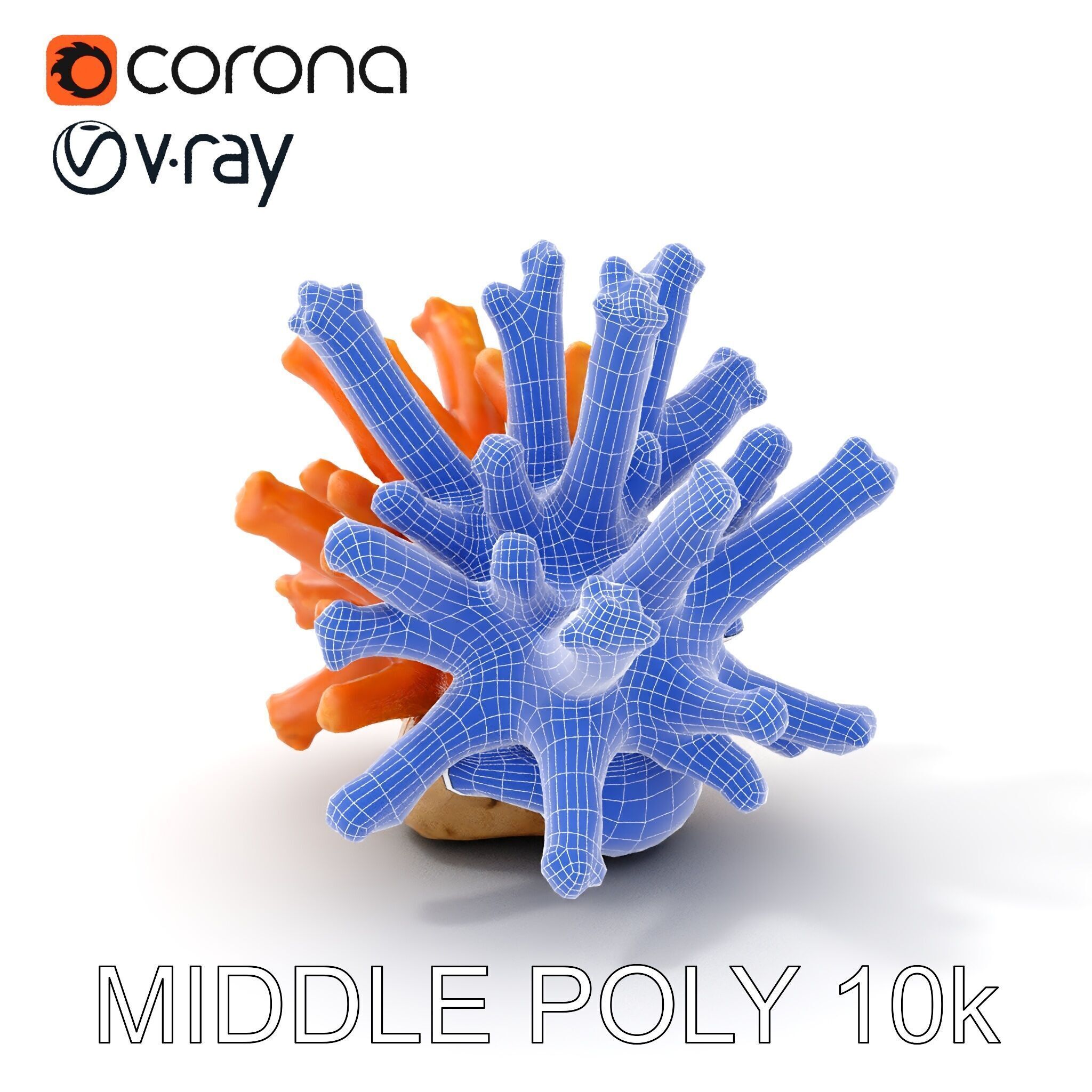Realistic Coral Reef Model Pack Low-poly 3D model_10