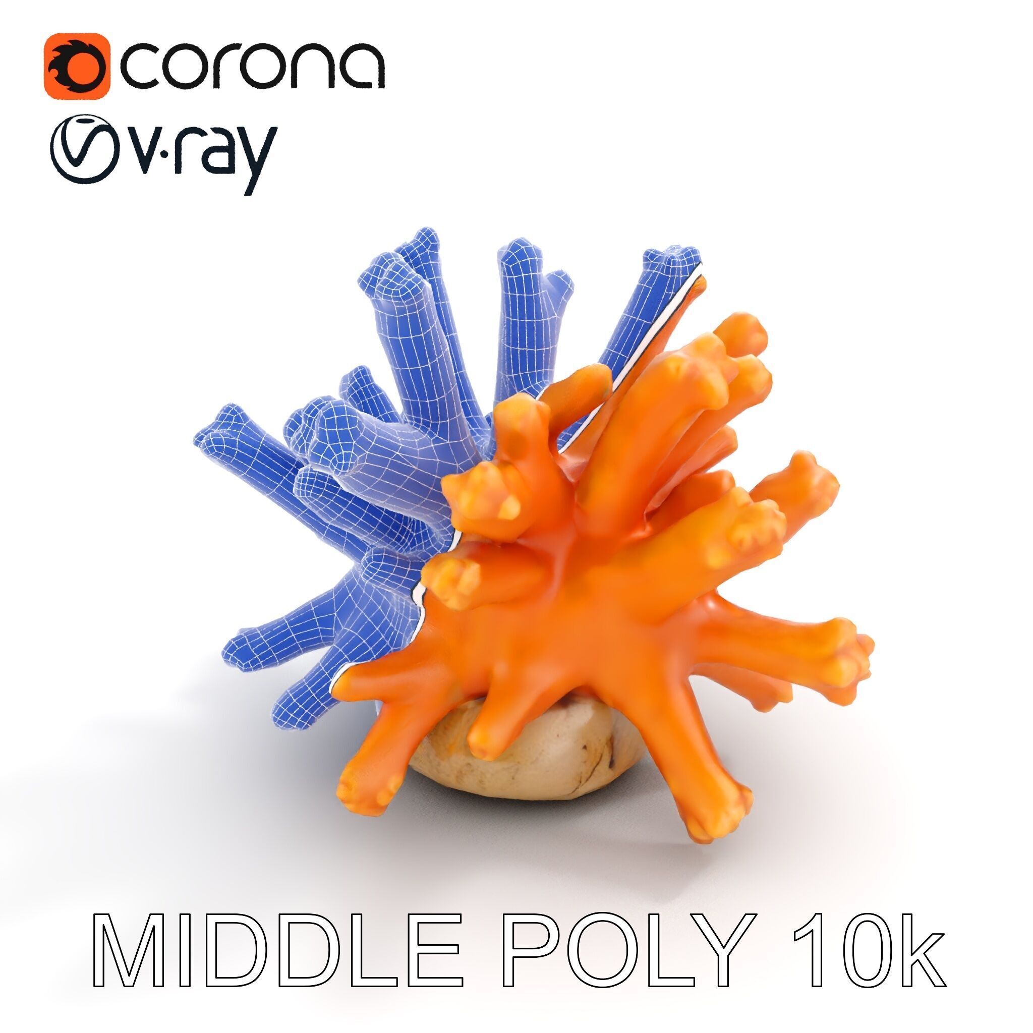 Realistic Coral Reef Model Pack Low-poly 3D model_25