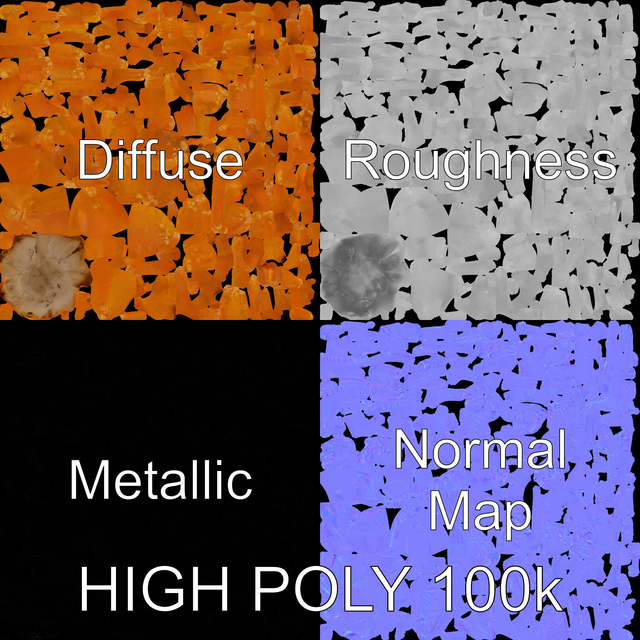 Realistic Coral Reef Model Pack Low-poly 3D model_3