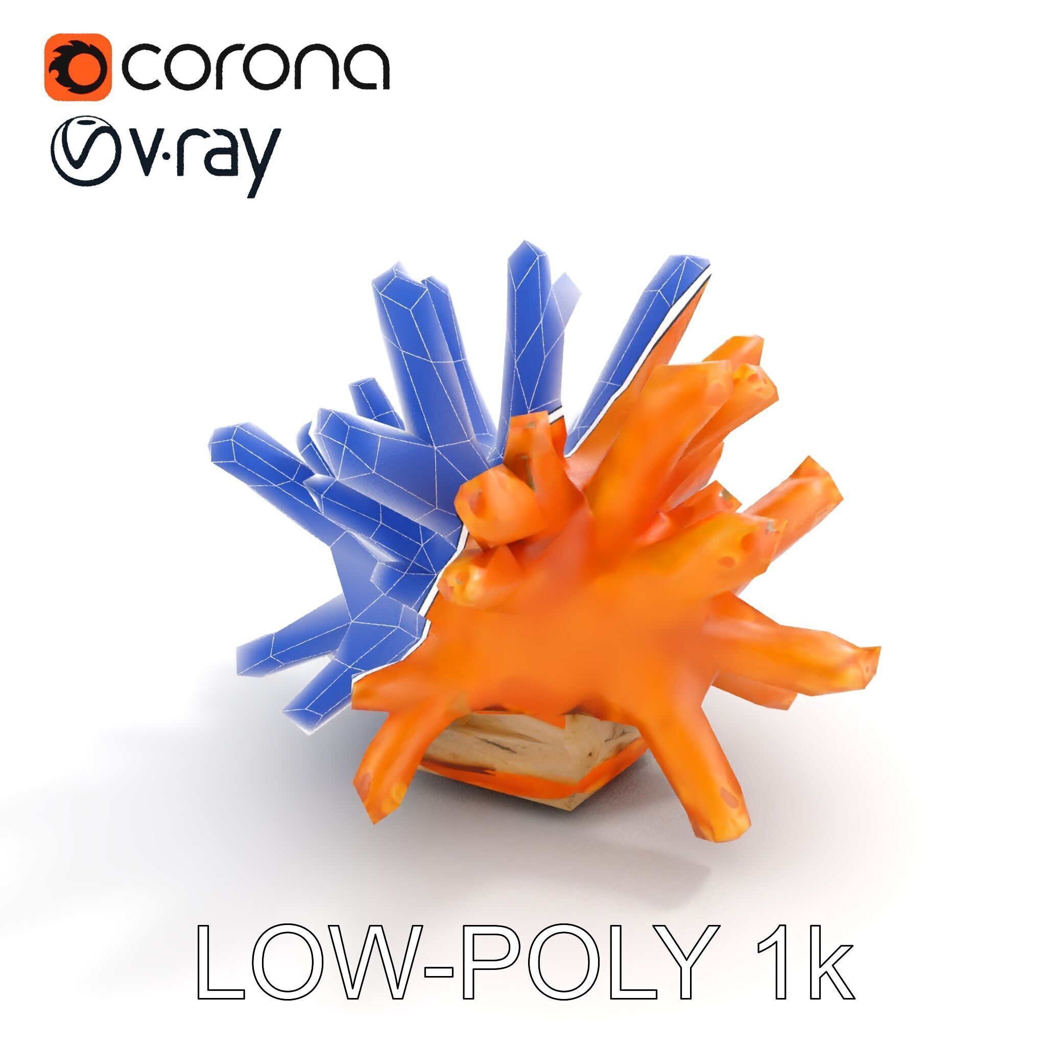 Realistic Coral Reef Model Pack Low-poly 3D model_23