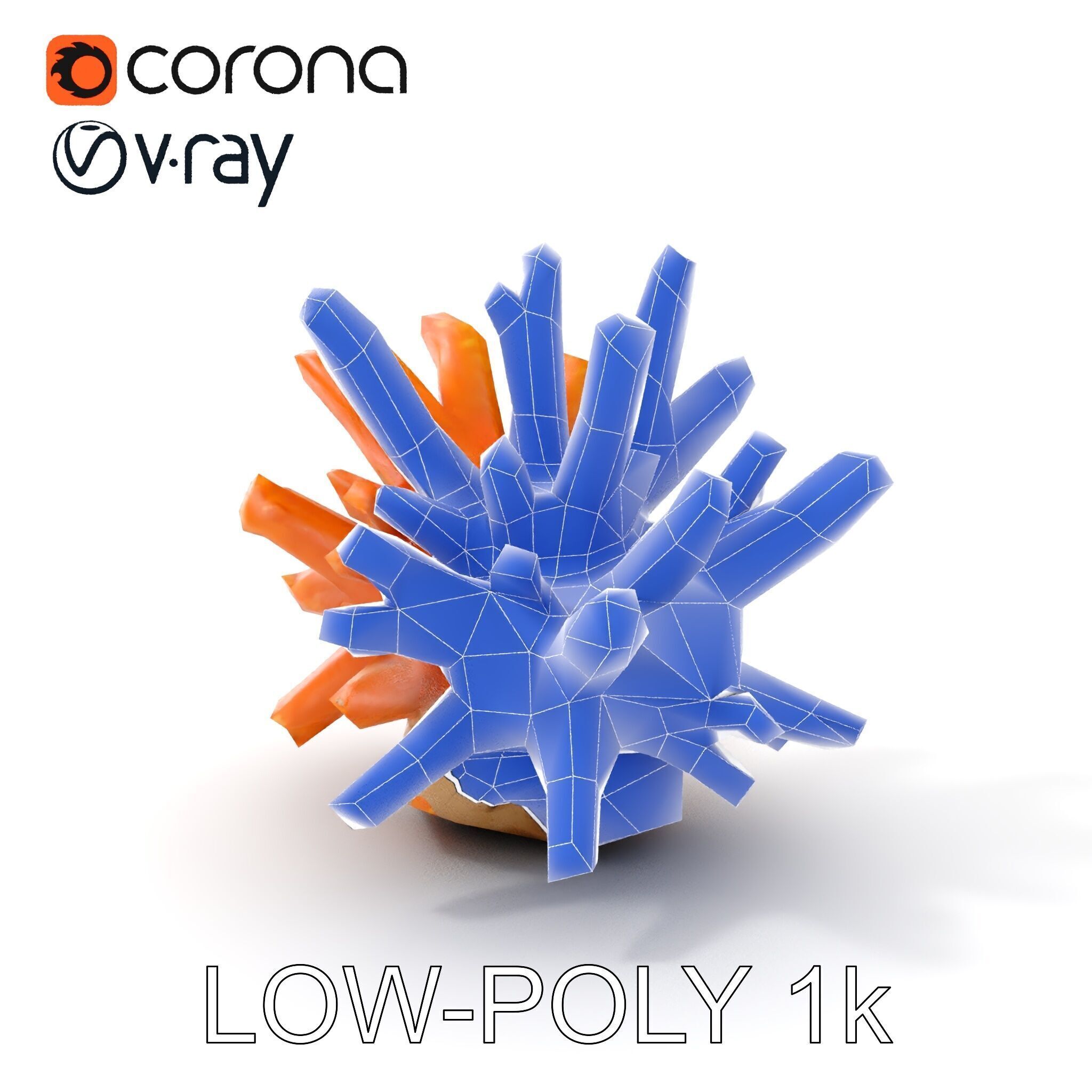 Realistic Coral Reef Model Pack Low-poly 3D model_26