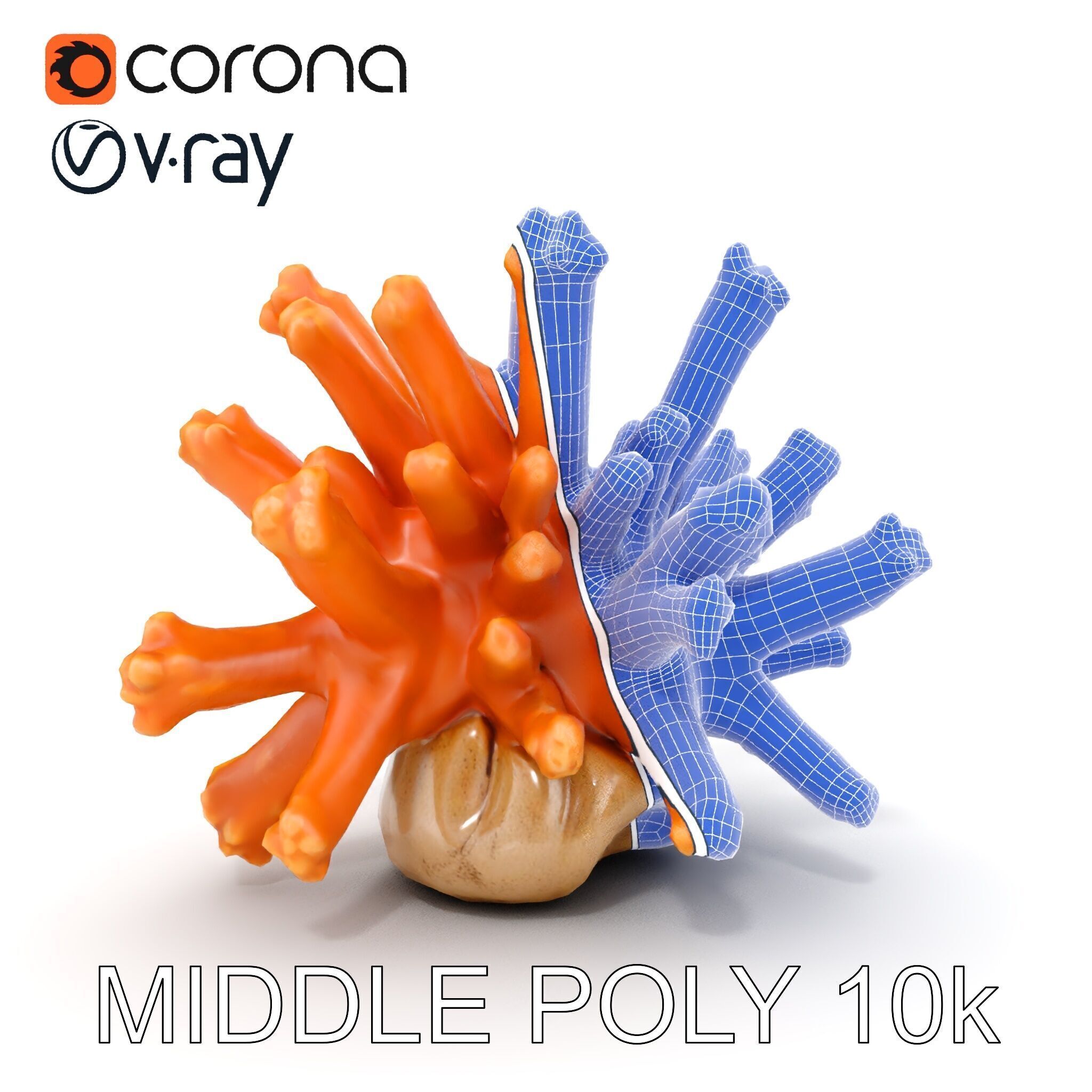 Realistic Coral Reef Model Pack Low-poly 3D model_27