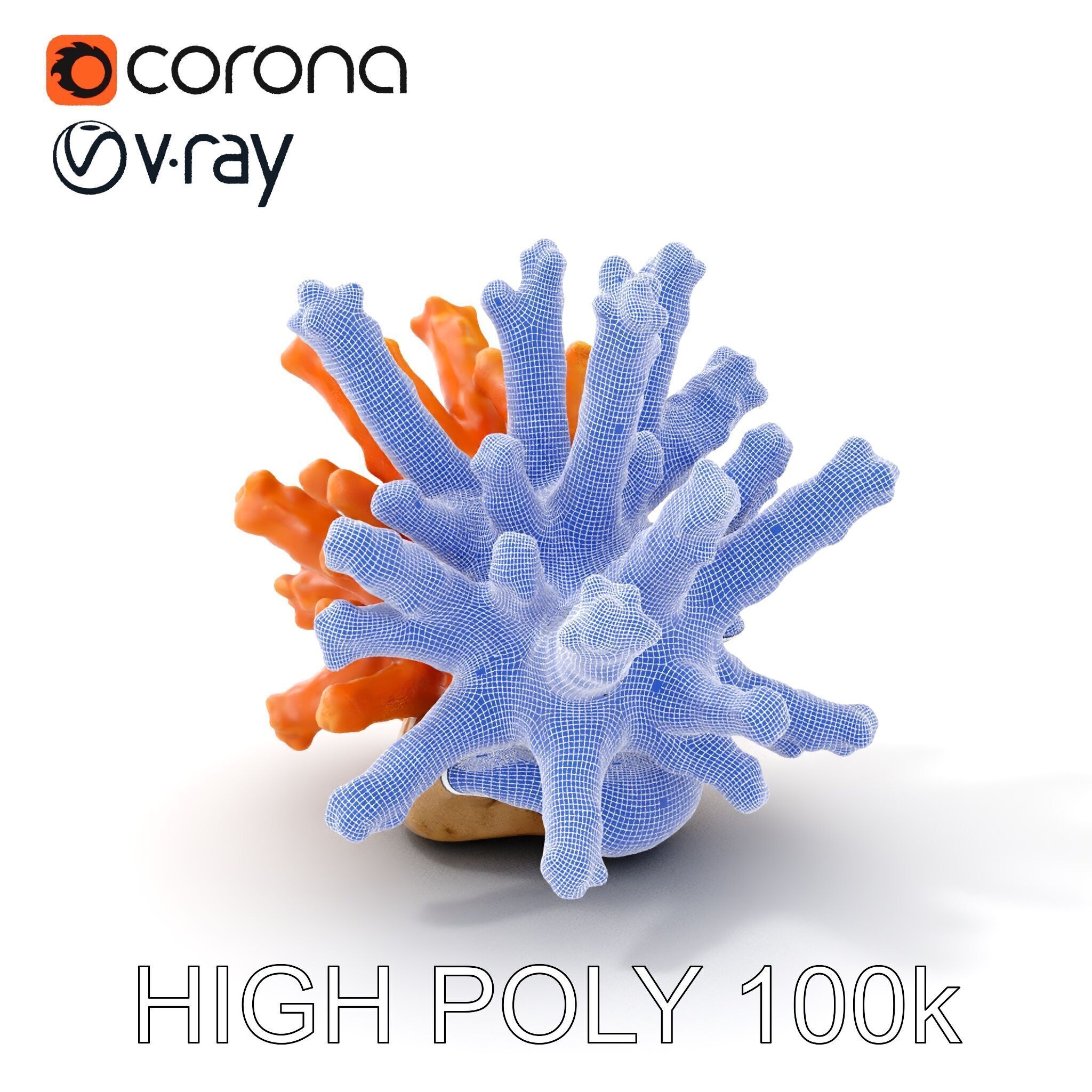 Realistic Coral Reef Model Pack Low-poly 3D model_4