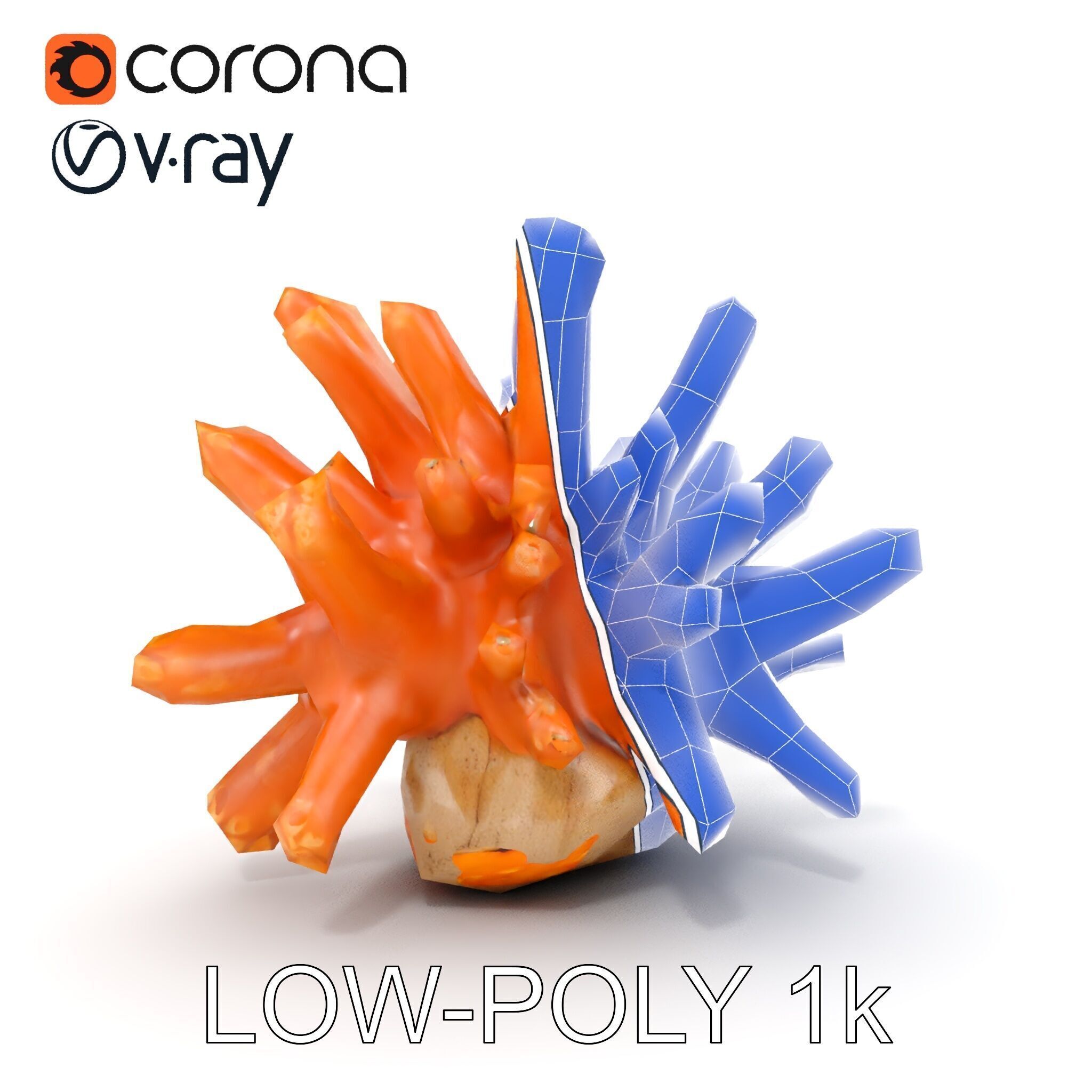 Realistic Coral Reef Model Pack Low-poly 3D model_31