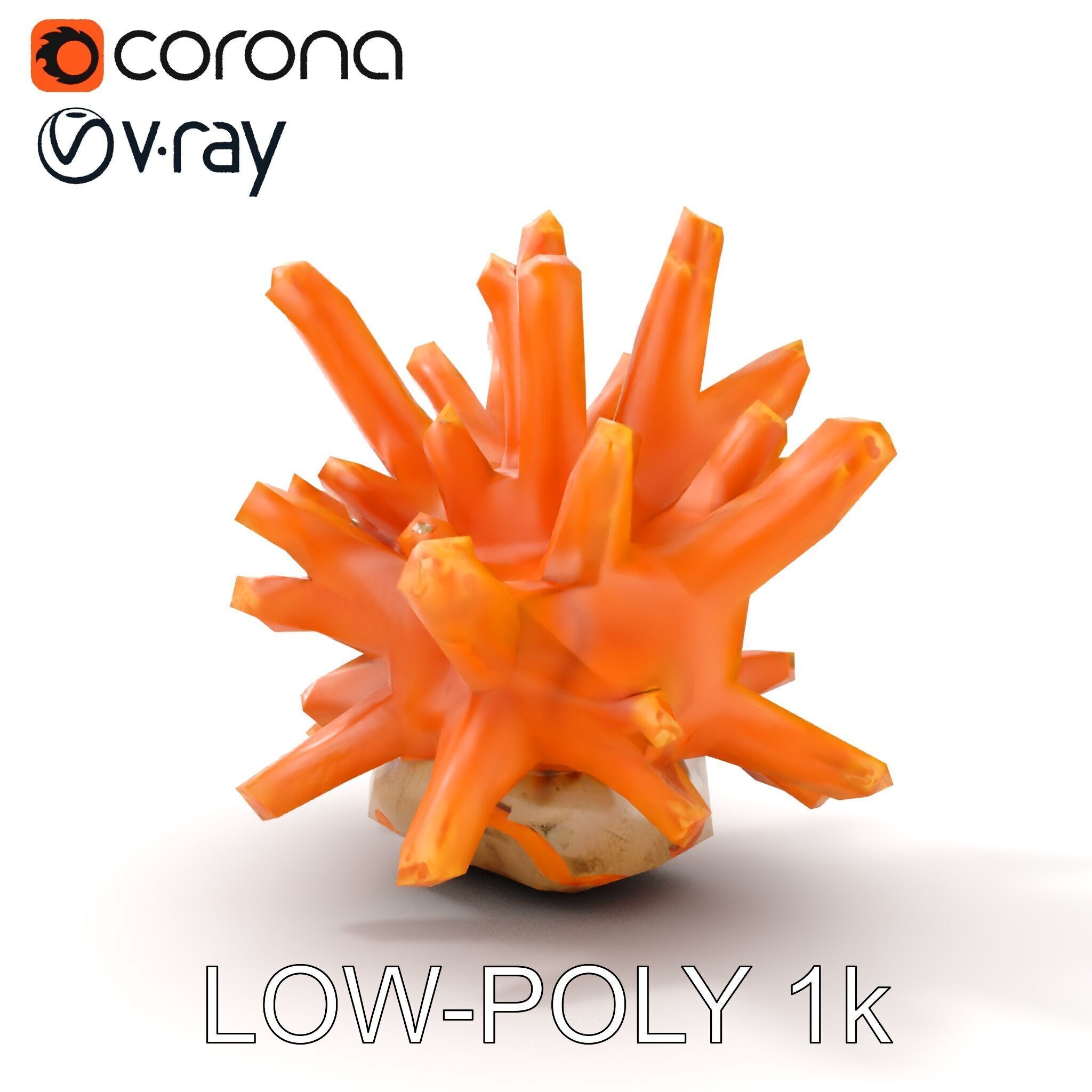Realistic Coral Reef Model Pack Low-poly 3D model_14