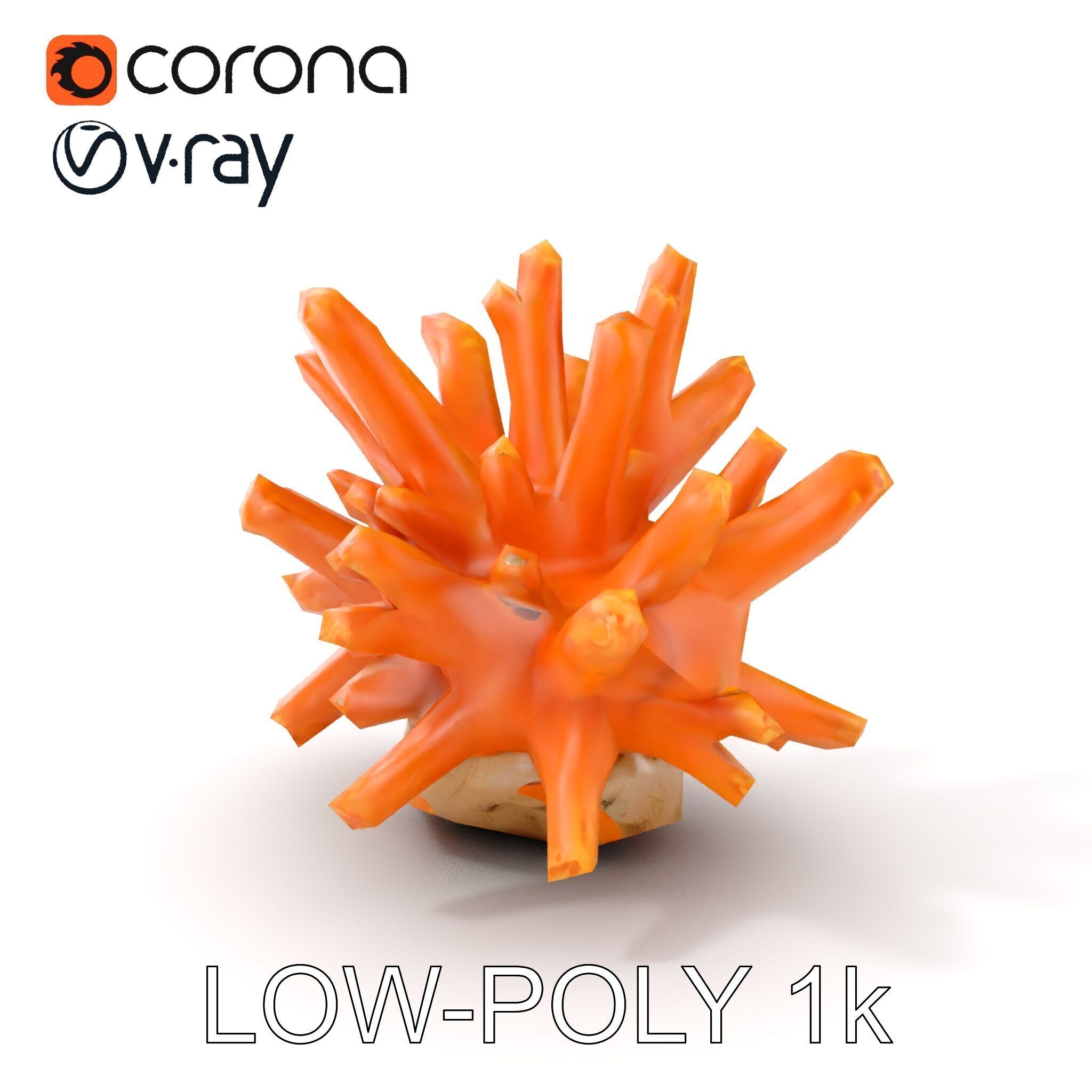 Realistic Coral Reef Model Pack Low-poly 3D model_11