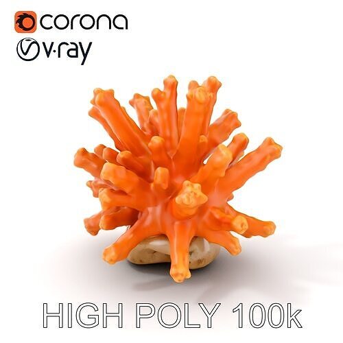 Realistic Coral Reef Model Pack Low-poly 3D model
