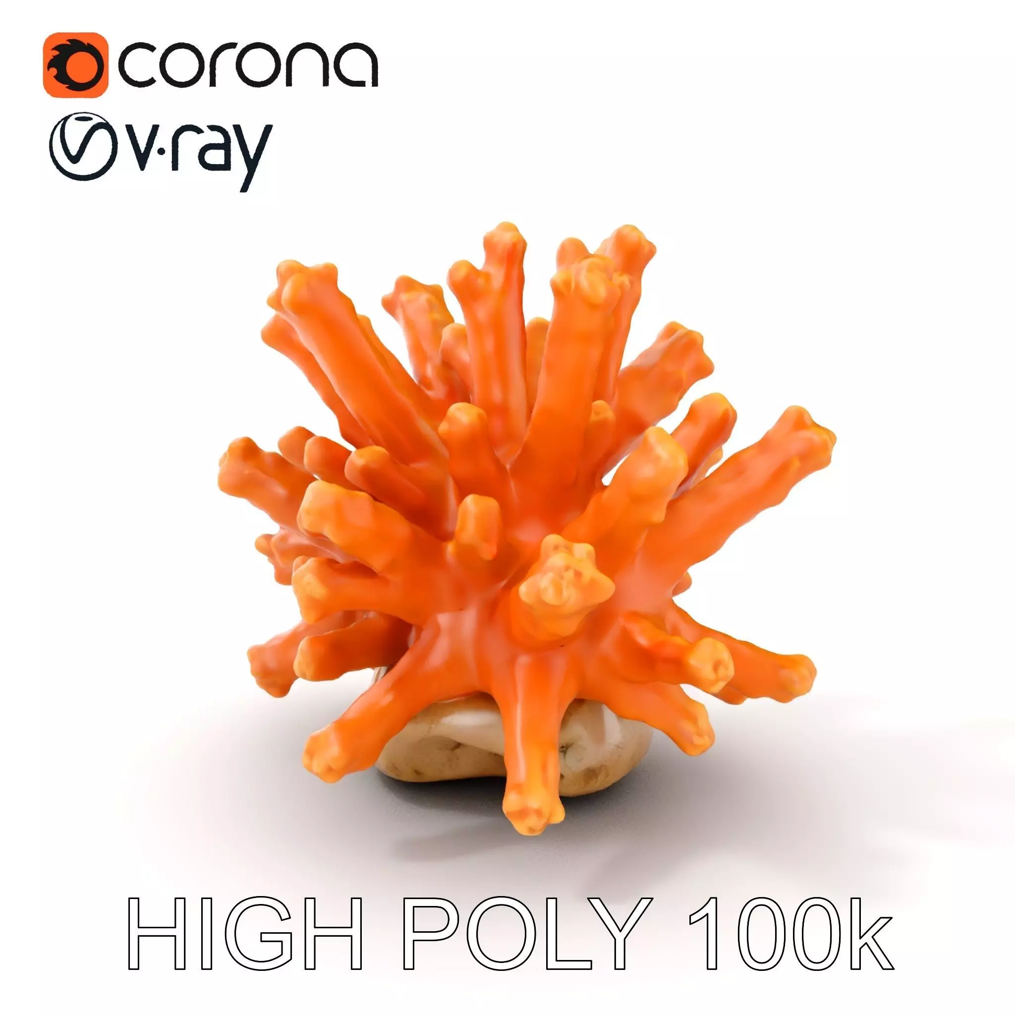 Realistic Coral Reef Model Pack Low-poly 3D model_0