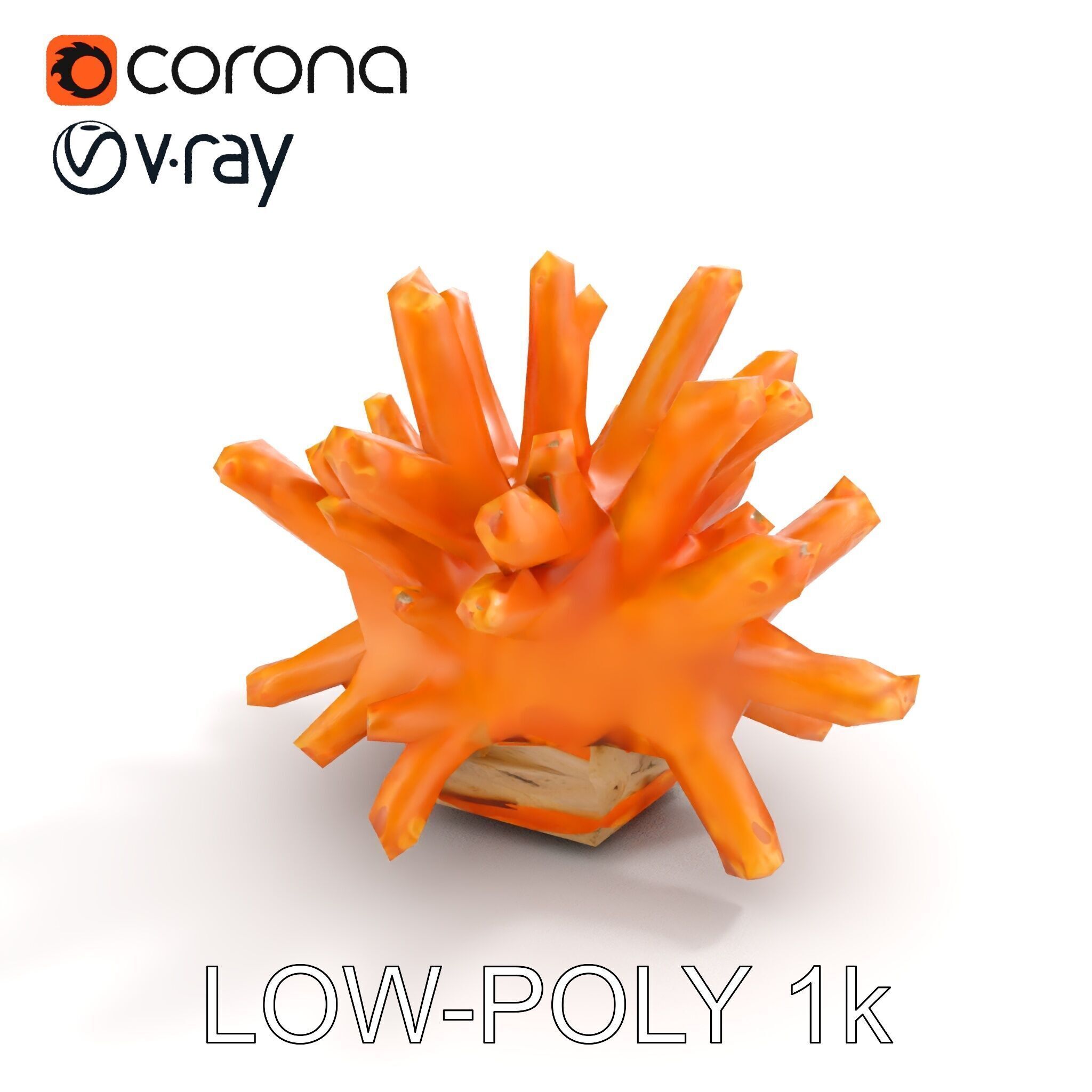 Realistic Coral Reef Model Pack Low-poly 3D model_9