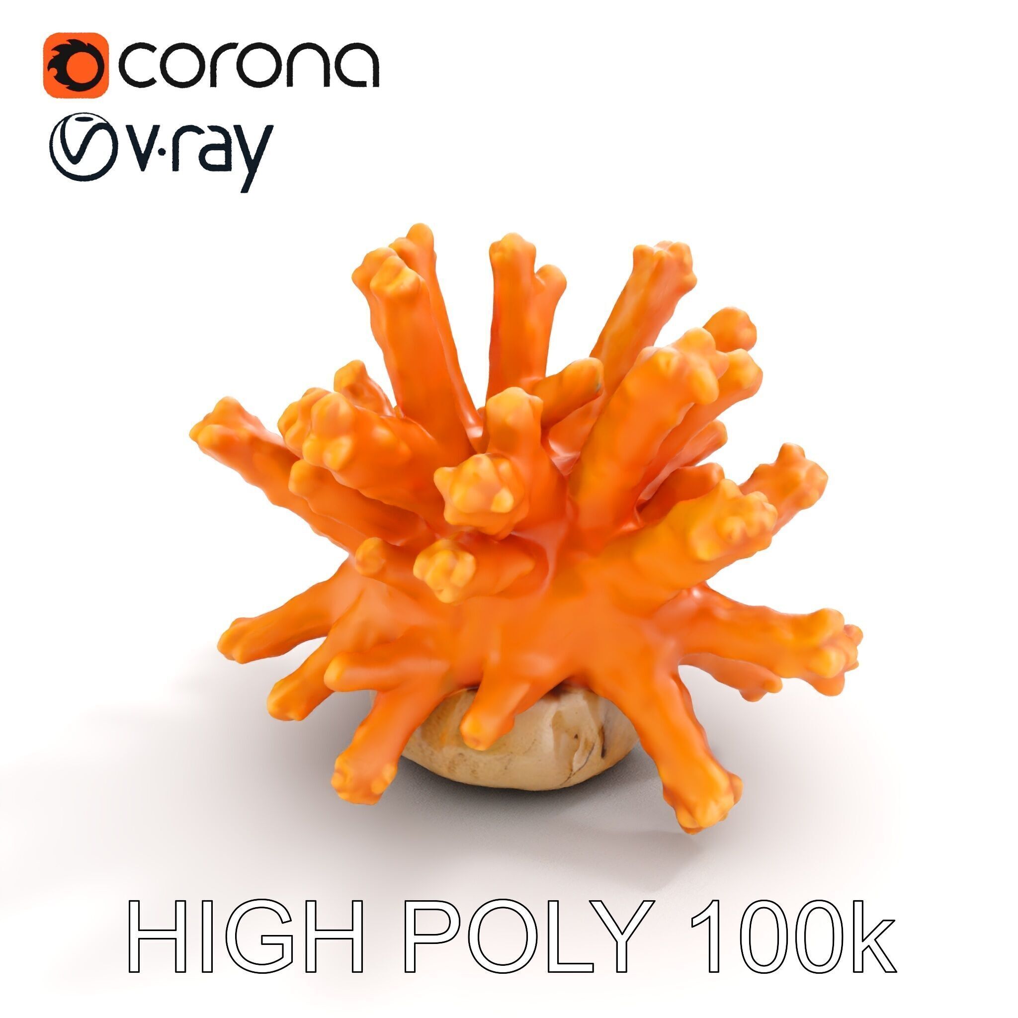 Realistic Coral Reef Model Pack Low-poly 3D model_18