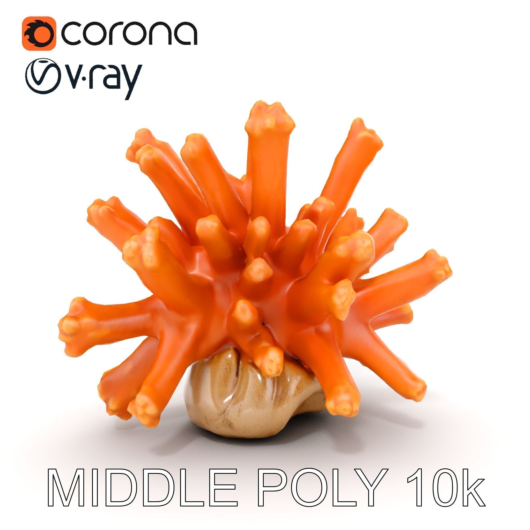 Realistic Coral Reef Model Pack Low-poly 3D model_30
