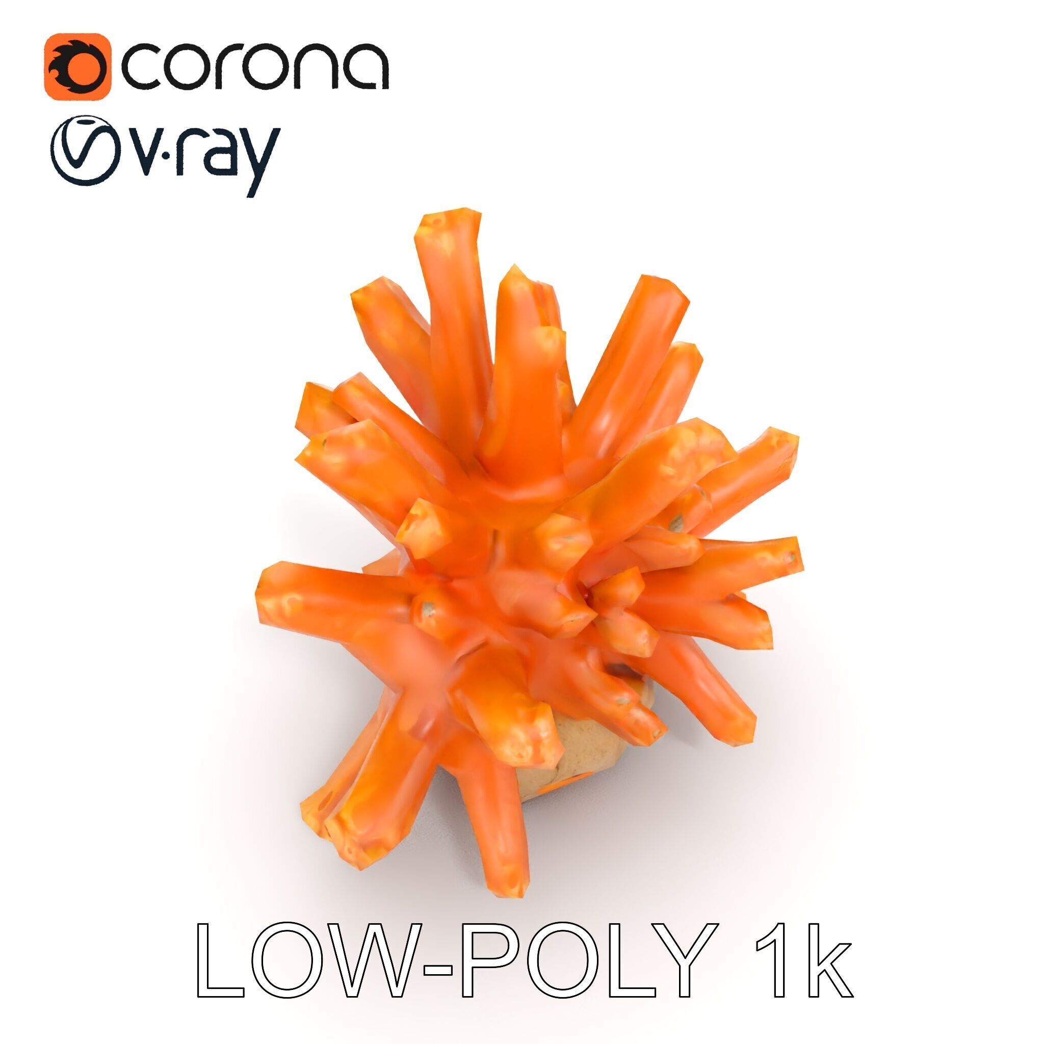 Realistic Coral Reef Model Pack Low-poly 3D model_7