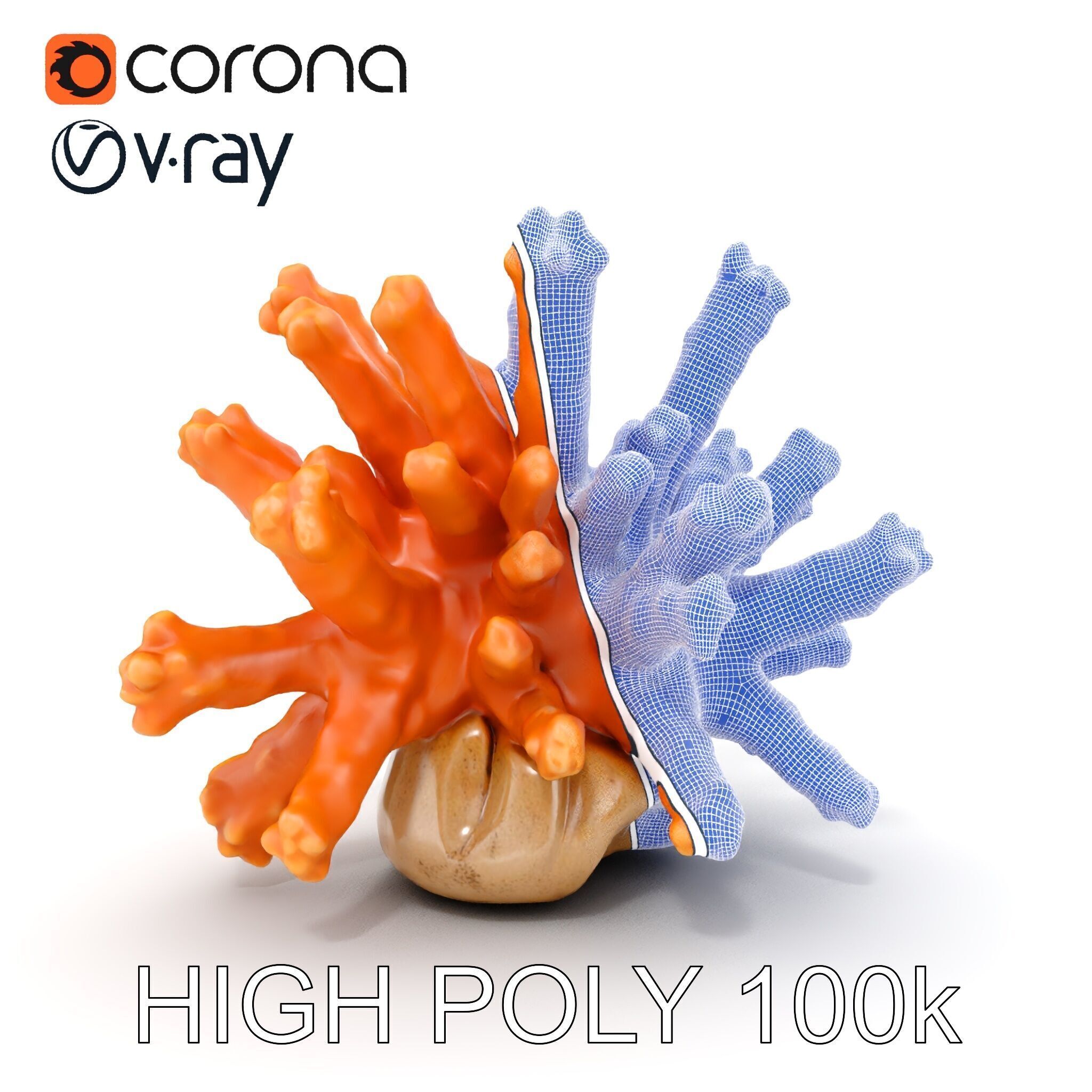 Realistic Coral Reef Model Pack Low-poly 3D model_24
