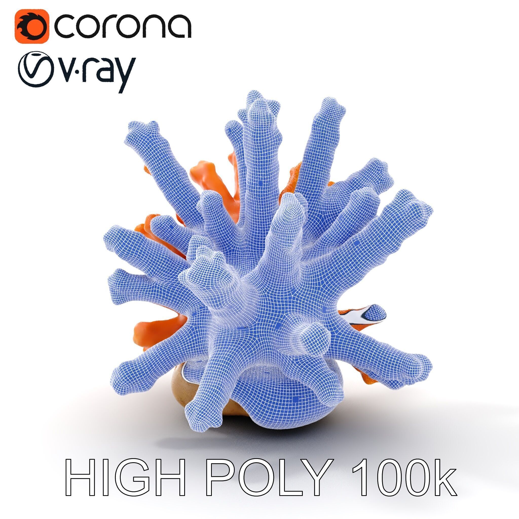 Realistic Coral Reef Model Pack Low-poly 3D model_21