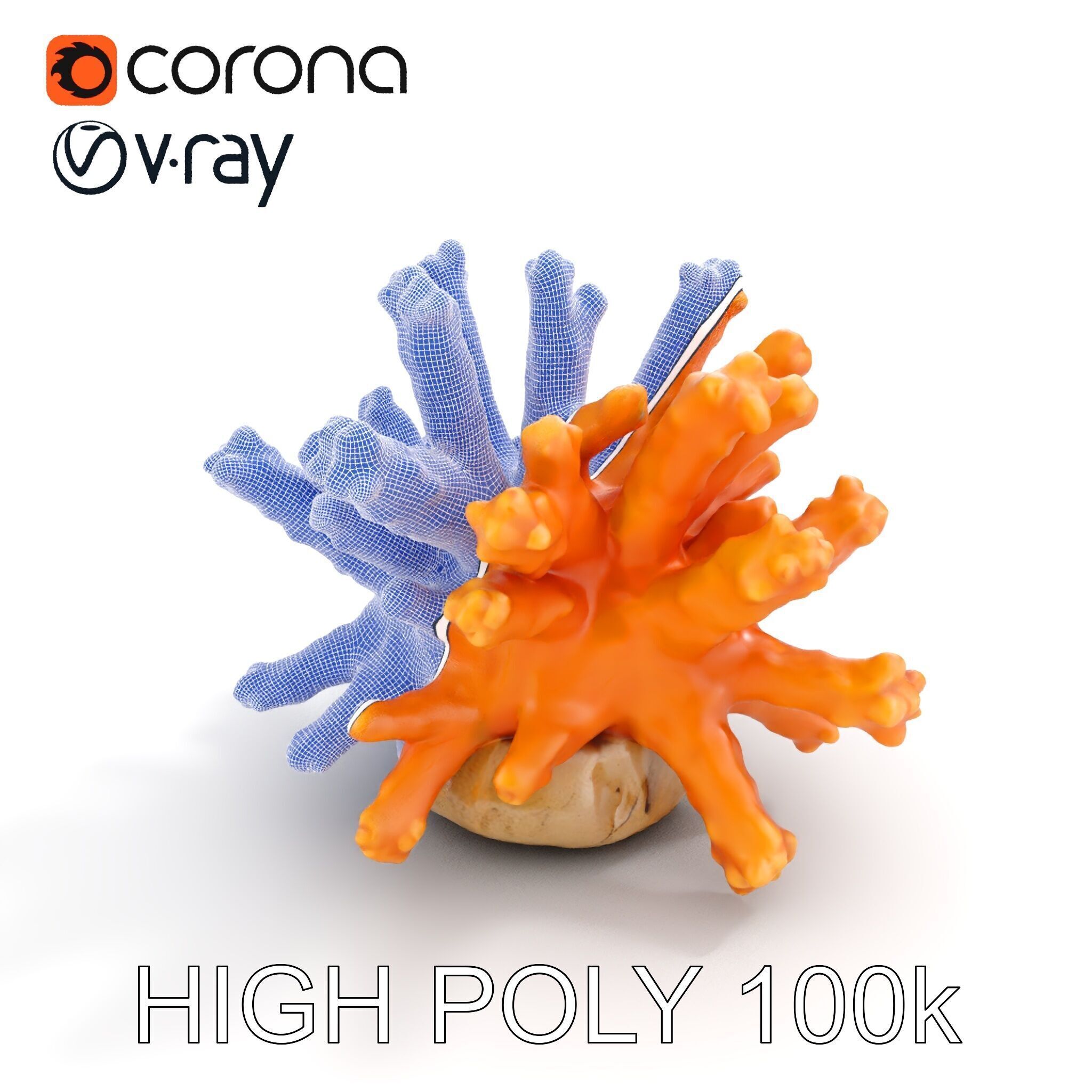 Realistic Coral Reef Model Pack Low-poly 3D model_29