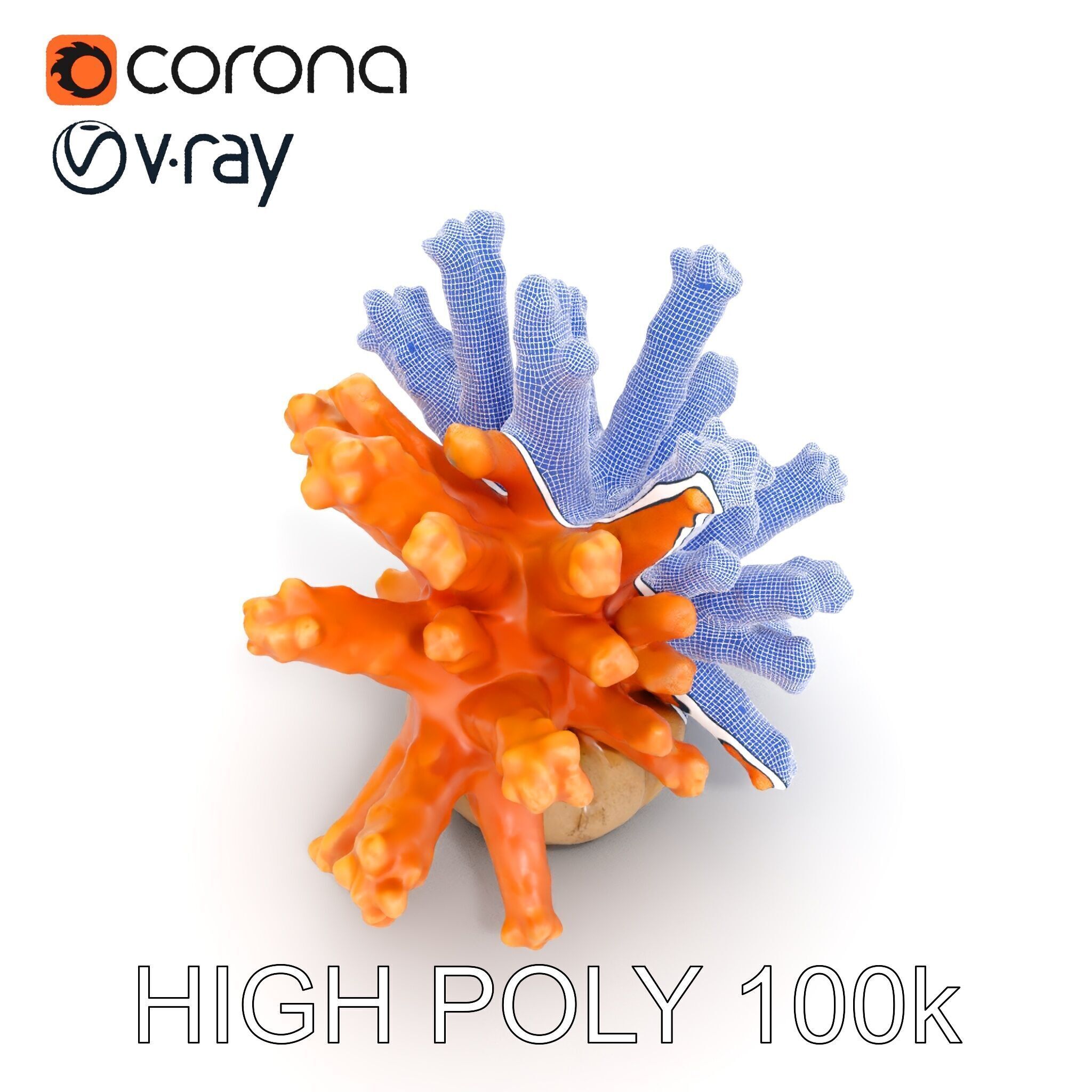 Realistic Coral Reef Model Pack Low-poly 3D model_35