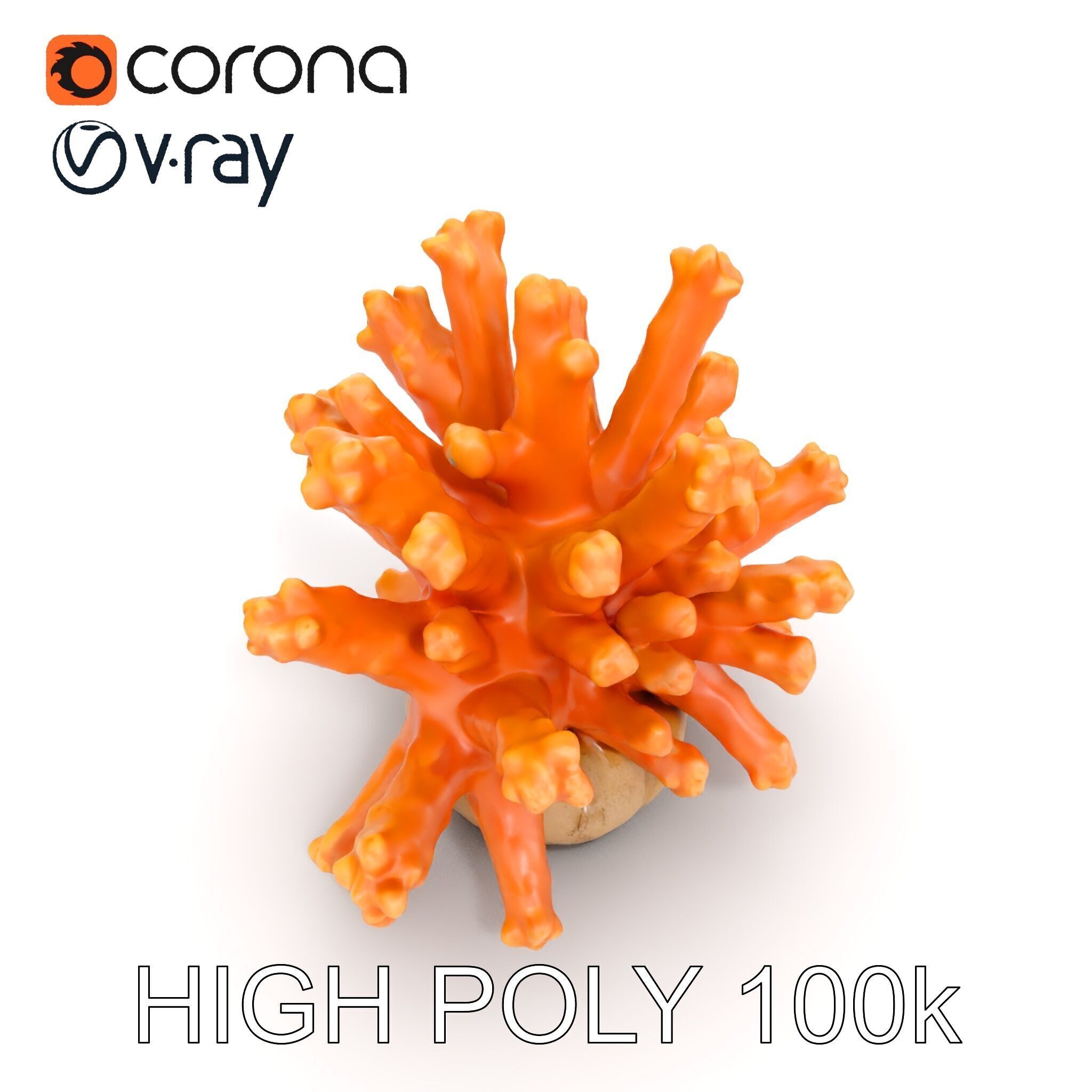 Realistic Coral Reef Model Pack Low-poly 3D model_15