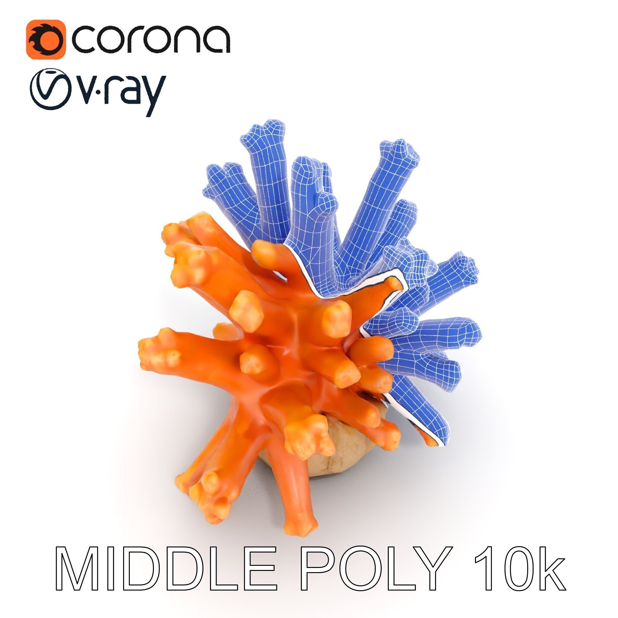Realistic Coral Reef Model Pack Low-poly 3D model_16