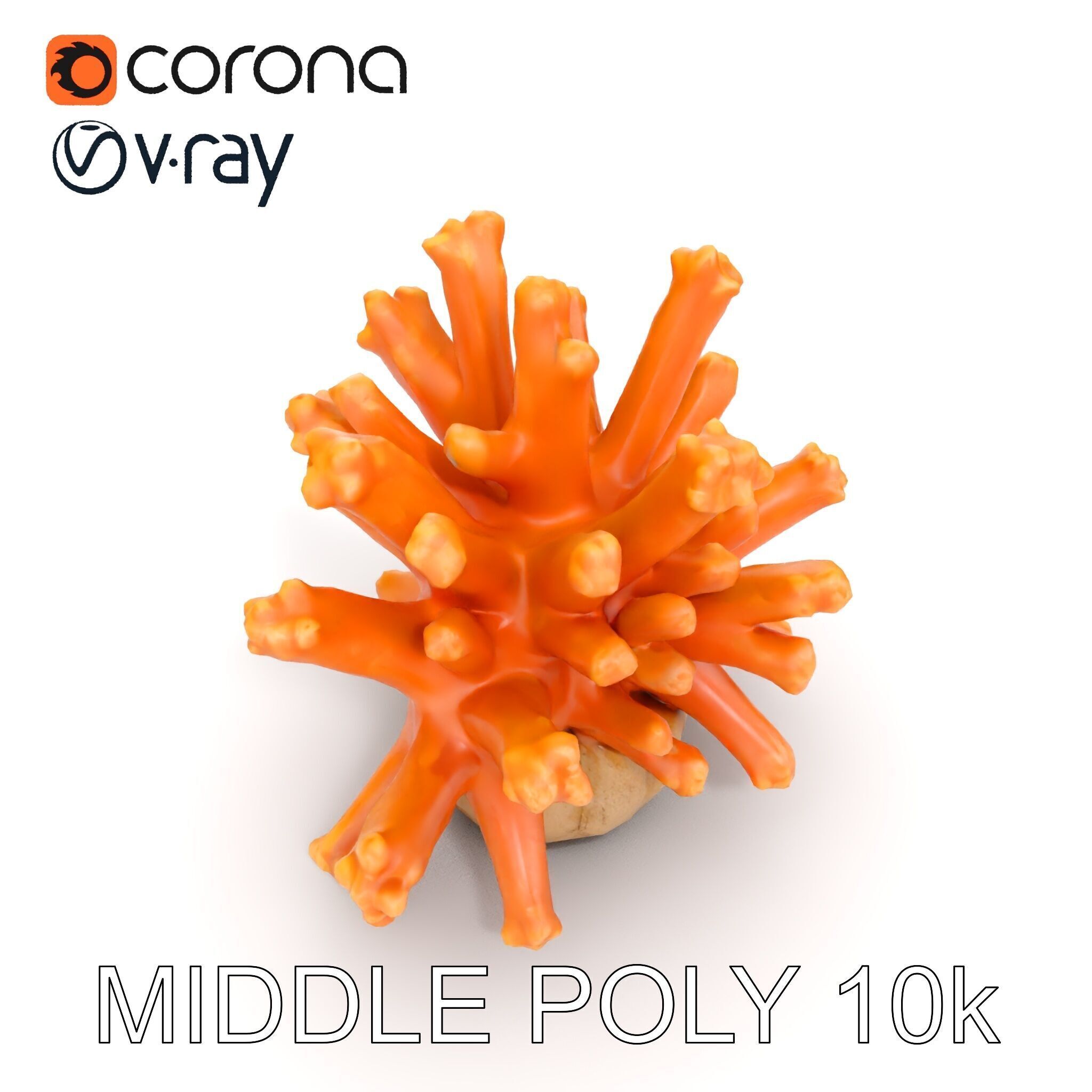 Realistic Coral Reef Model Pack Low-poly 3D model_8