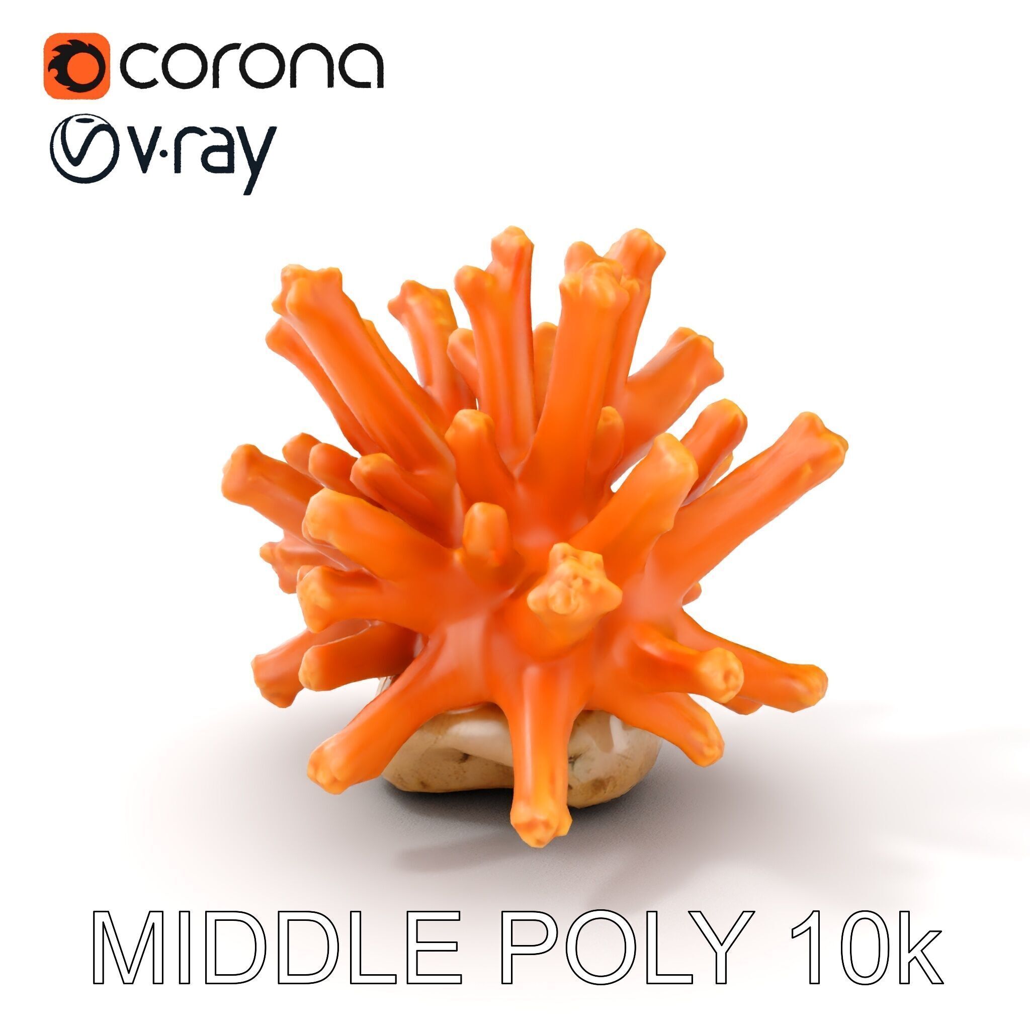 Realistic Coral Reef Model Pack Low-poly 3D model_6