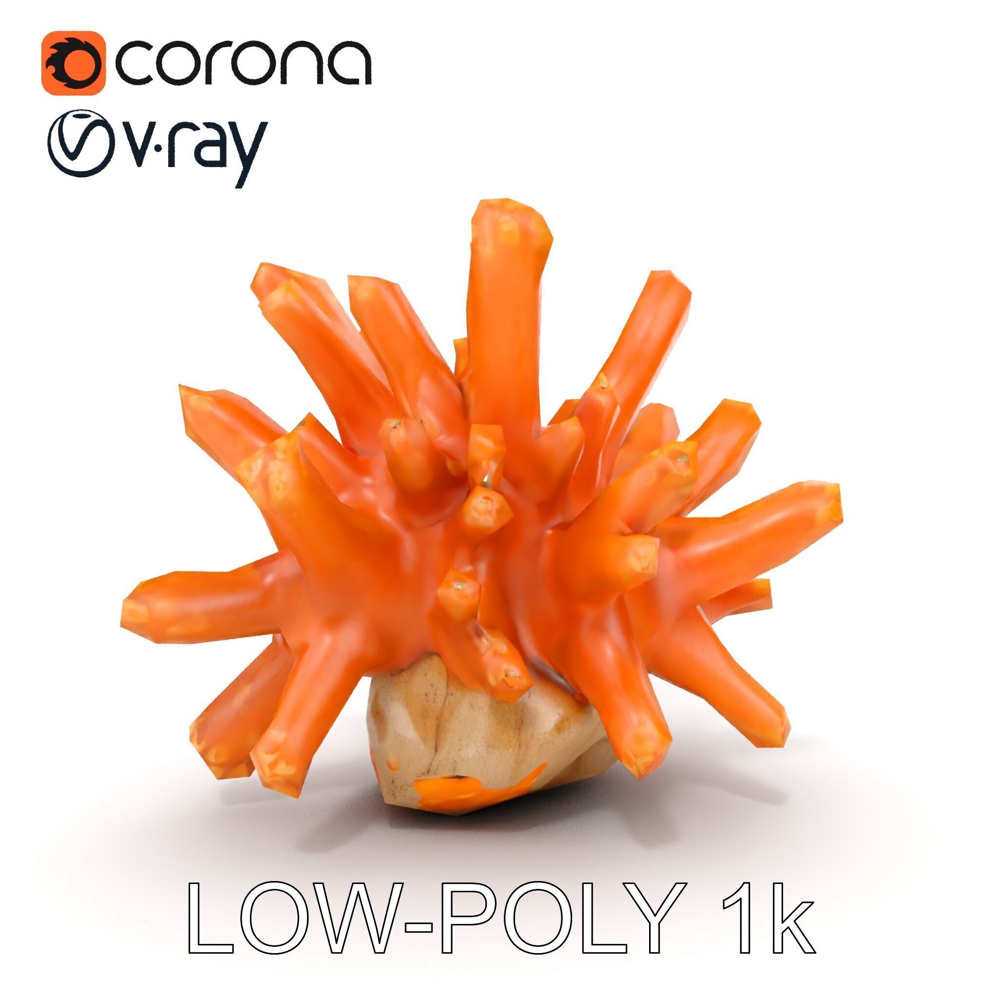 Realistic Coral Reef Model Pack Low-poly 3D model_20