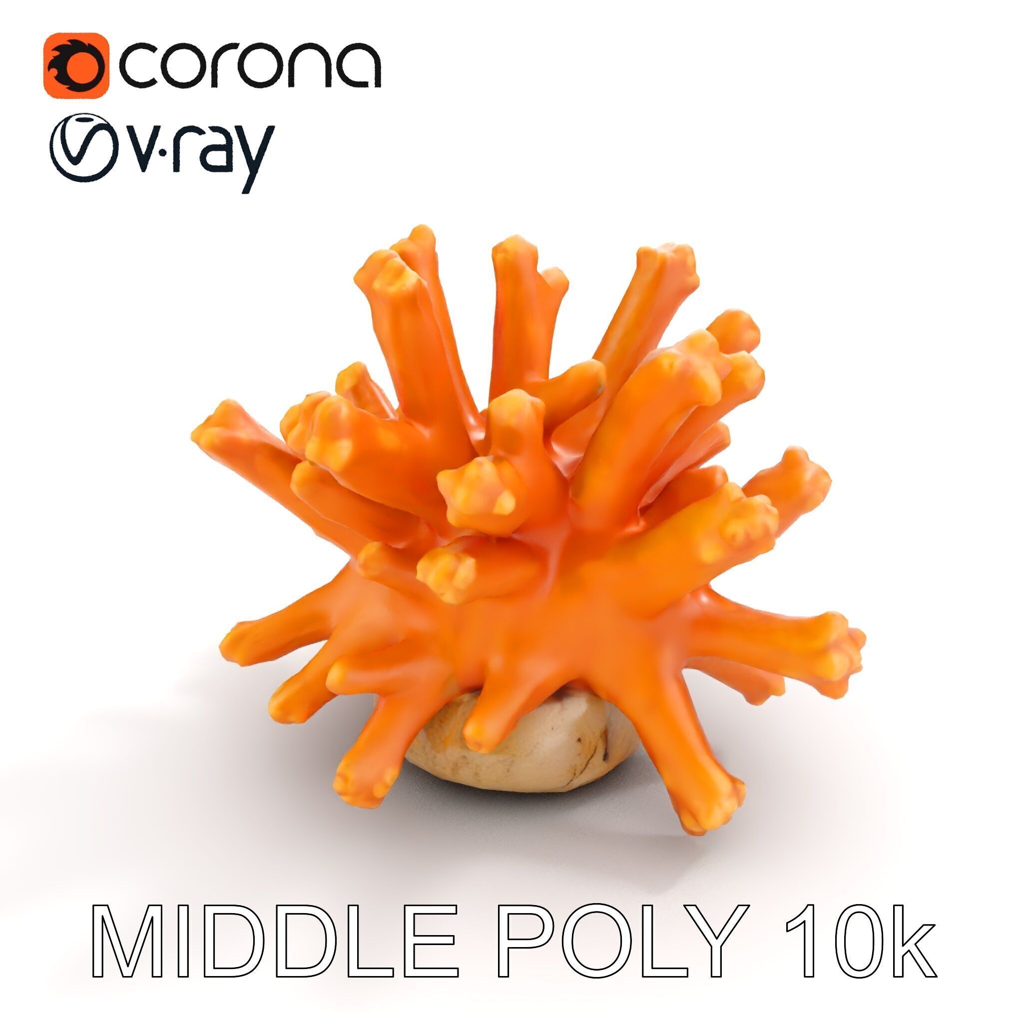 Realistic Coral Reef Model Pack Low-poly 3D model_13