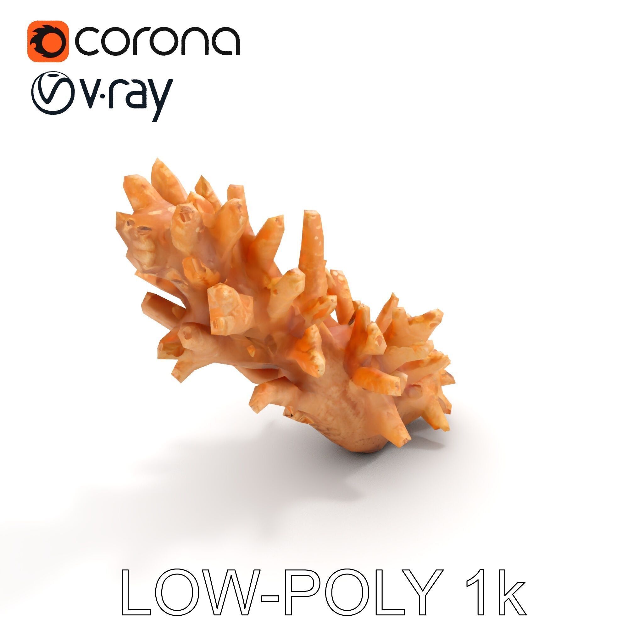 Realistic Coral Model Pack for Marine Environments Low-poly 3D model_9