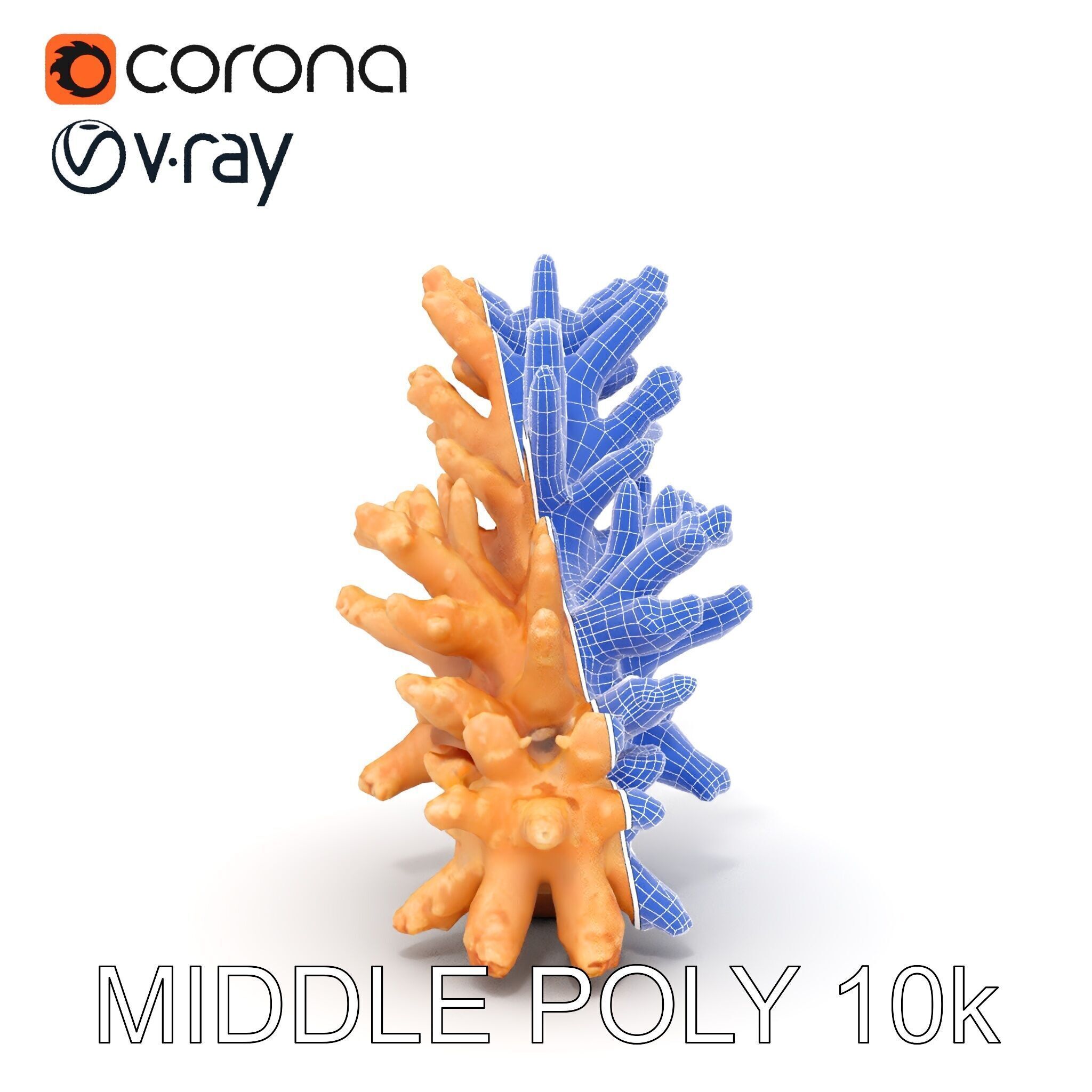 Realistic Coral Model Pack for Marine Environments Low-poly 3D model_30