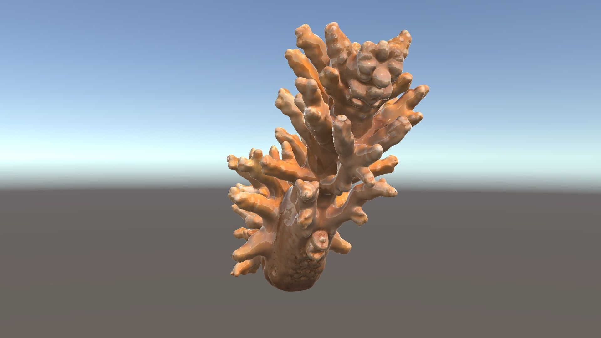 Realistic Coral Model Pack for Marine Environments Low-poly 3D model_5