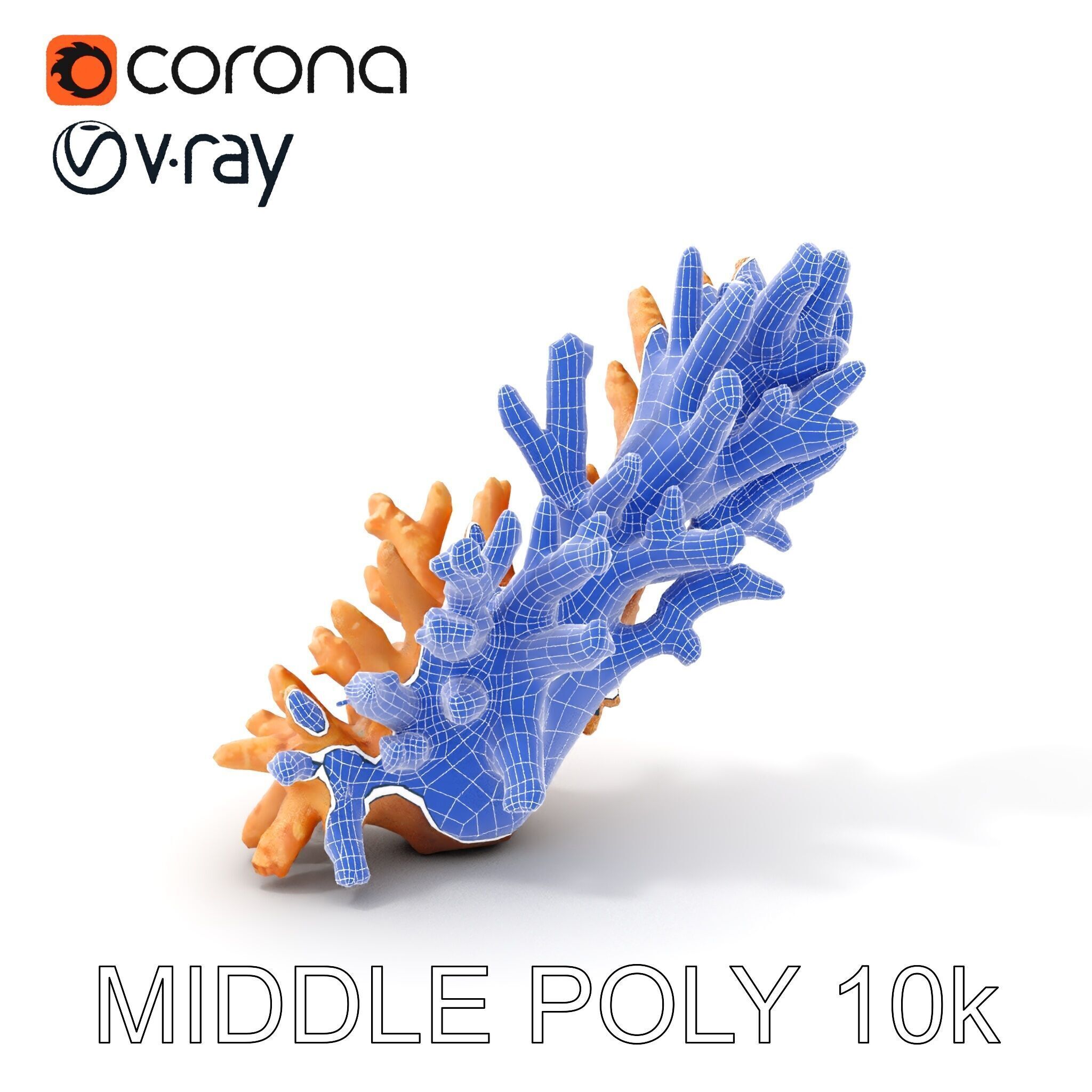 Realistic Coral Model Pack for Marine Environments Low-poly 3D model_10