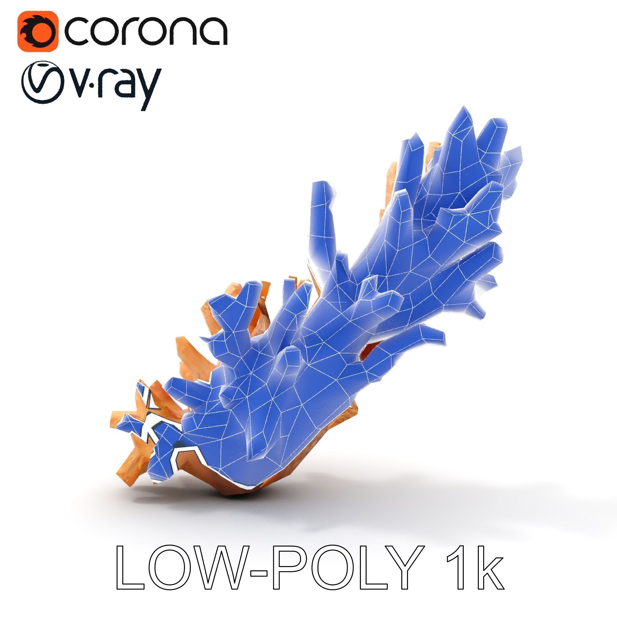 Realistic Coral Model Pack for Marine Environments Low-poly 3D model_20