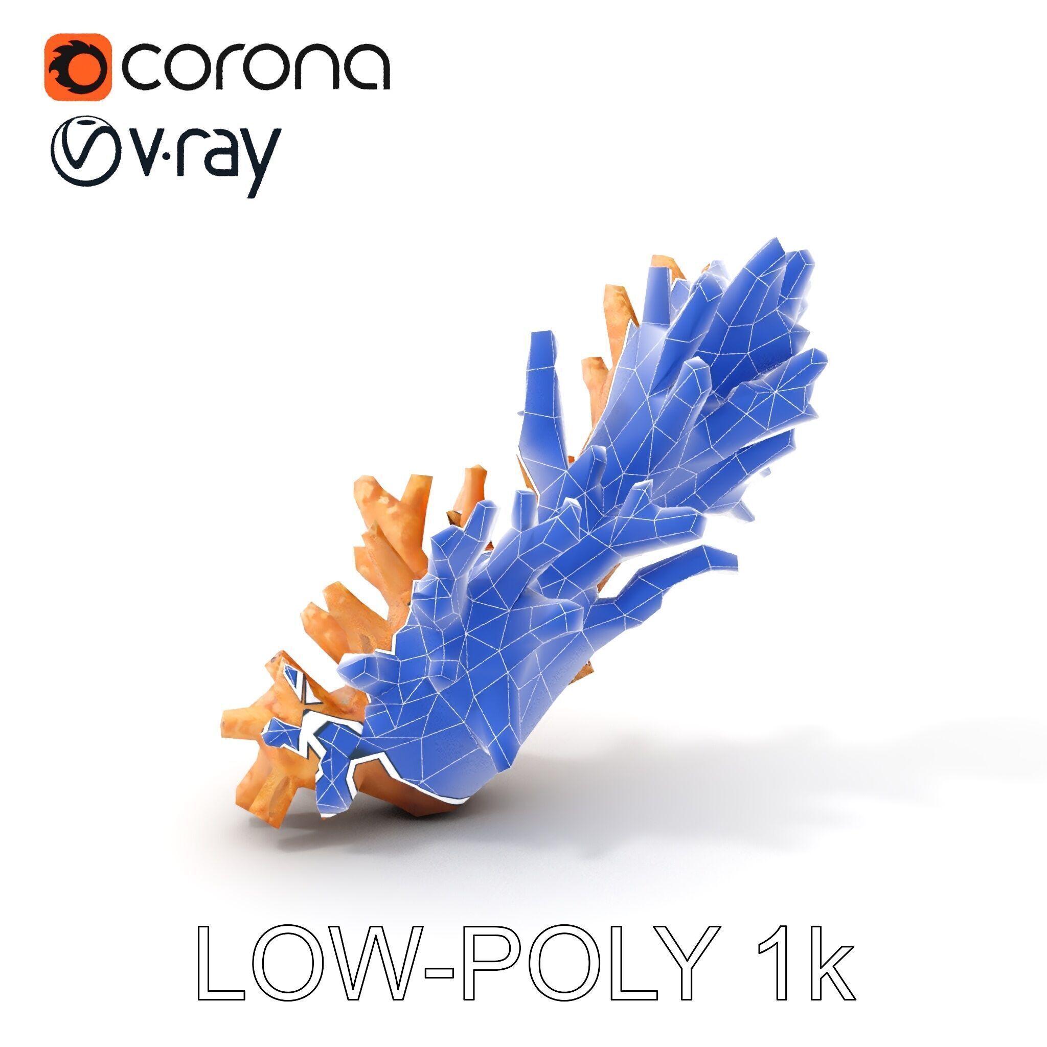 Realistic Coral Model Pack for Marine Environments Low-poly 3D model_31