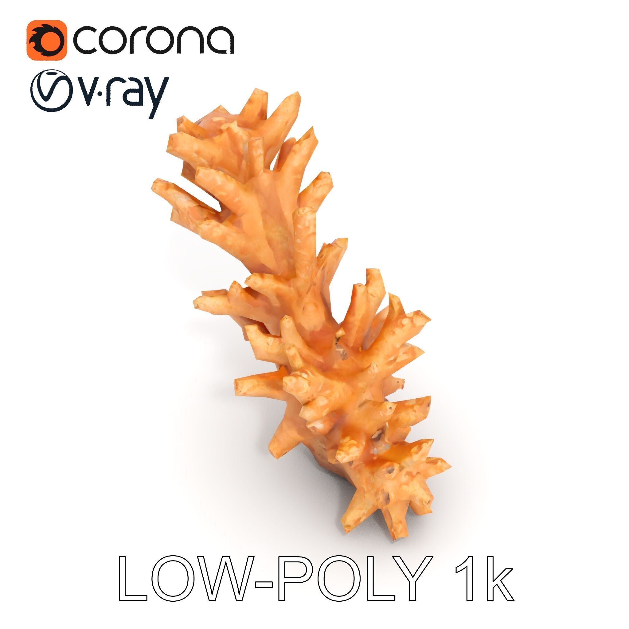 Realistic Coral Model Pack for Marine Environments Low-poly 3D model_14