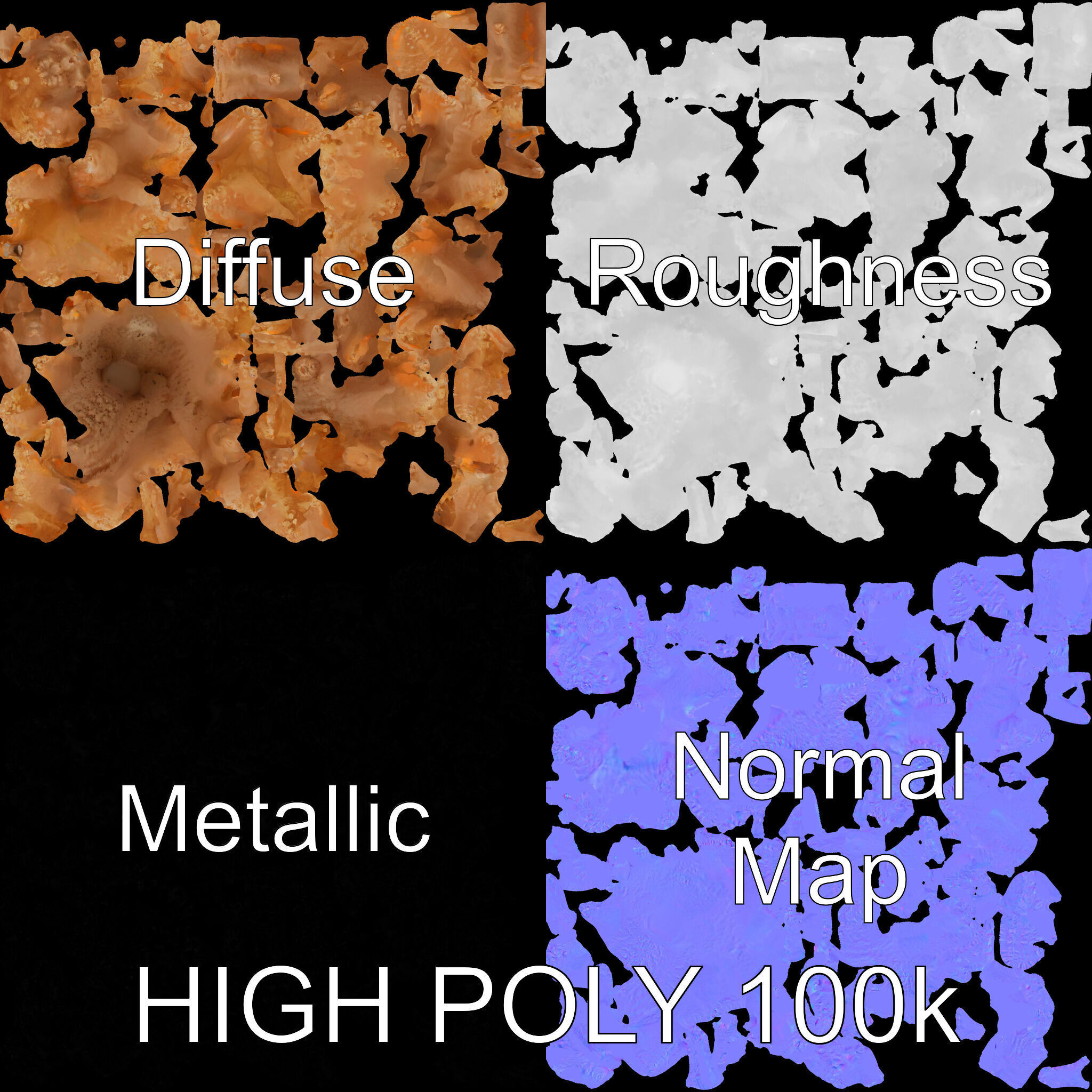 Realistic Coral Model Pack for Marine Environments Low-poly 3D model_3