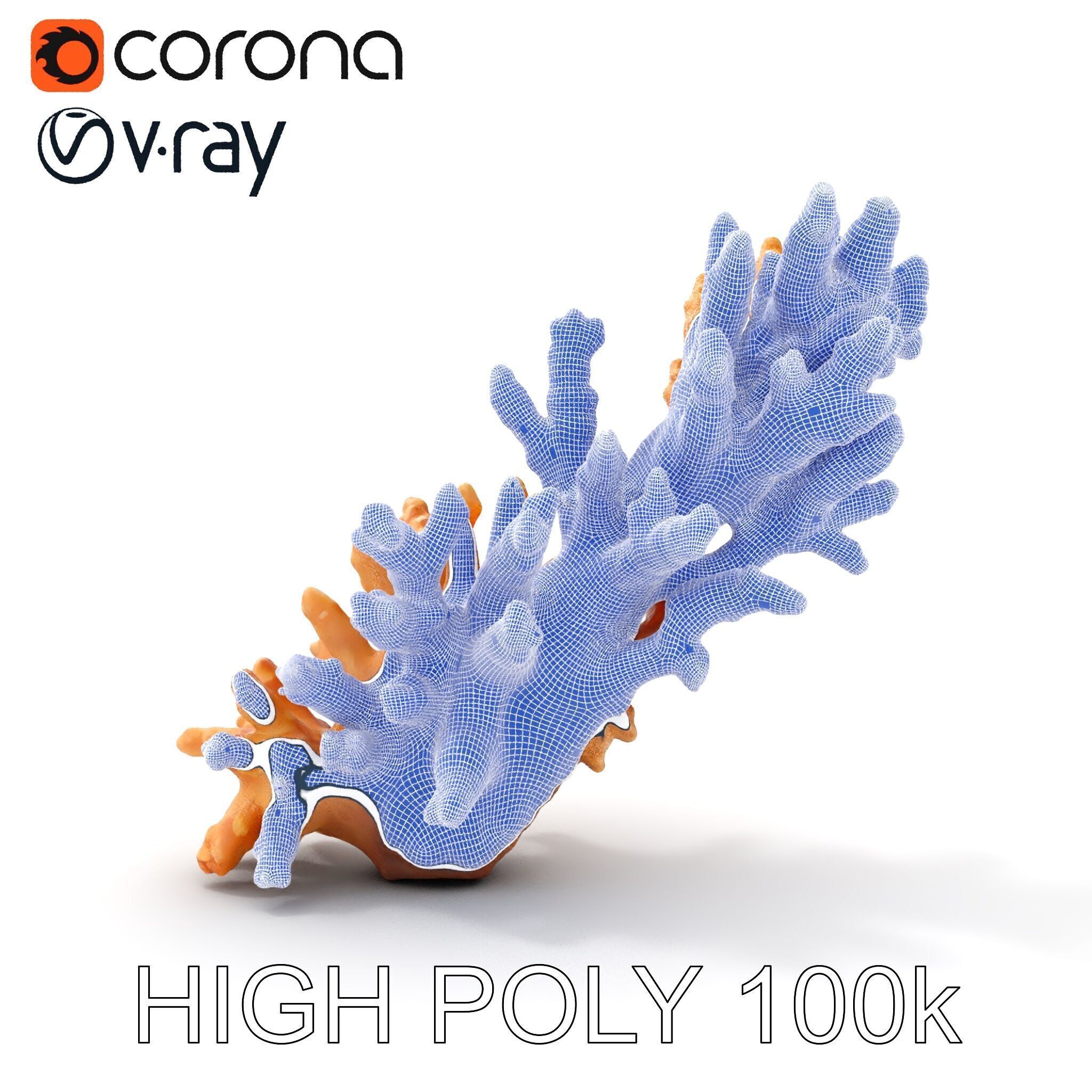 Realistic Coral Model Pack for Marine Environments Low-poly 3D model_29