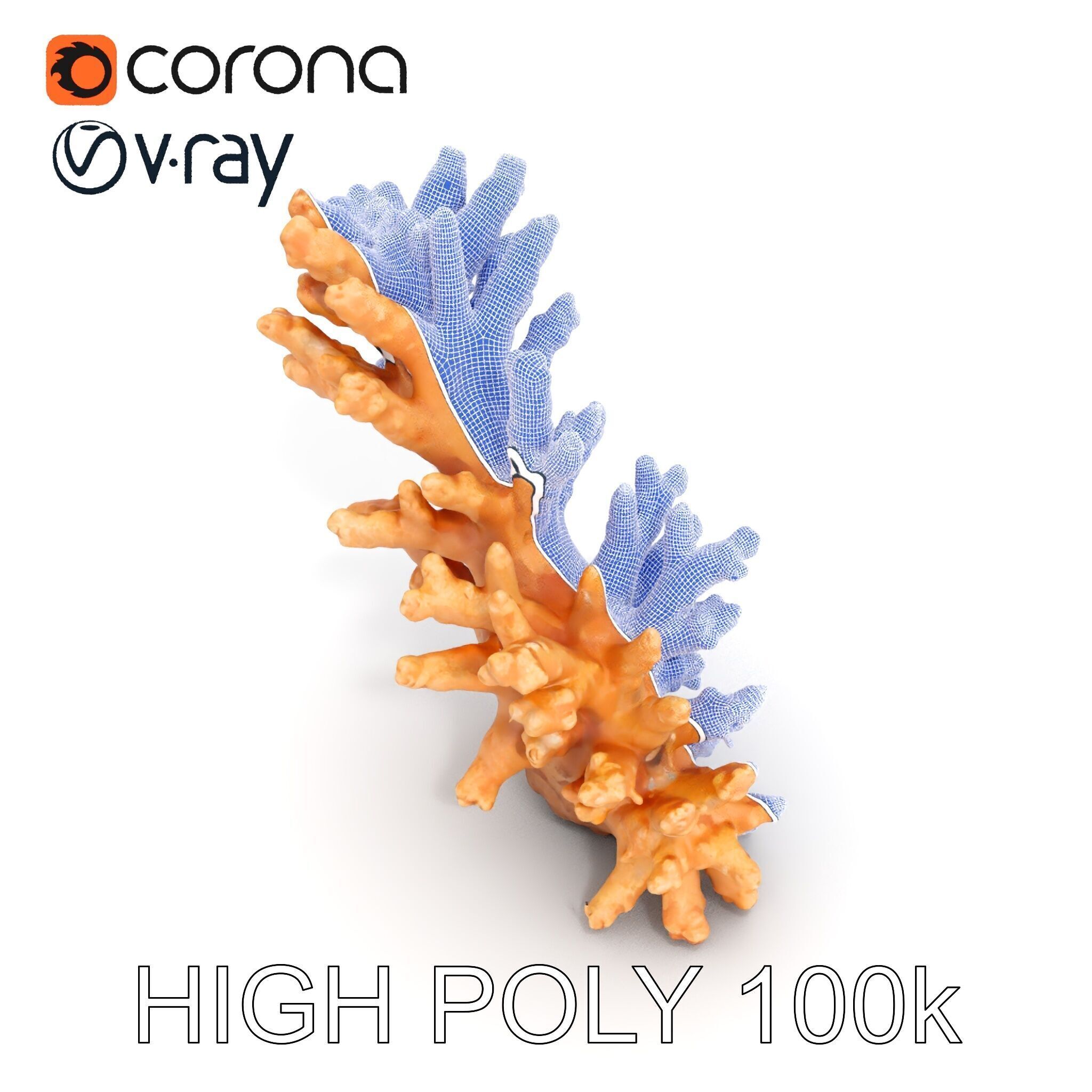 Realistic Coral Model Pack for Marine Environments Low-poly 3D model_32