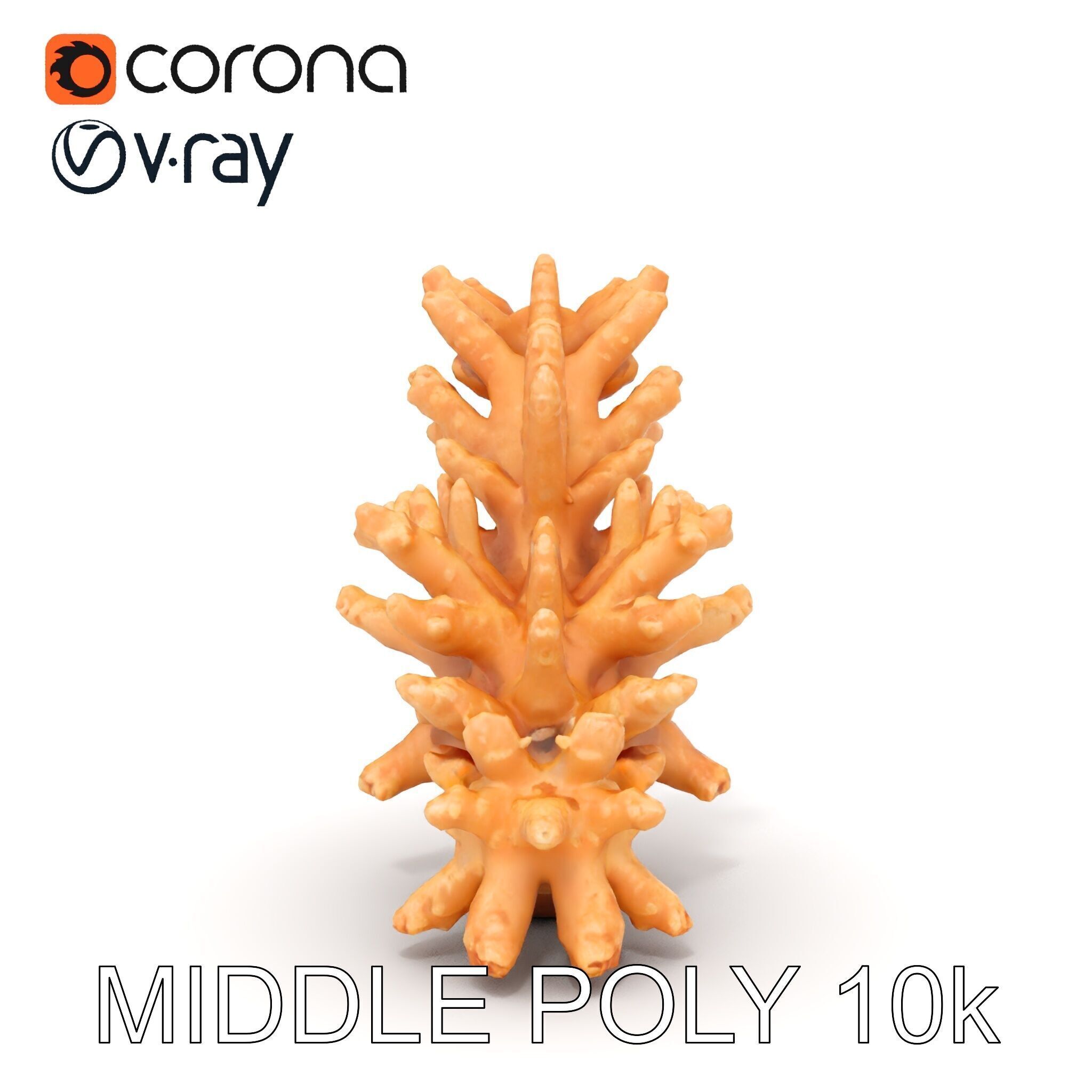 Realistic Coral Model Pack for Marine Environments Low-poly 3D model_22