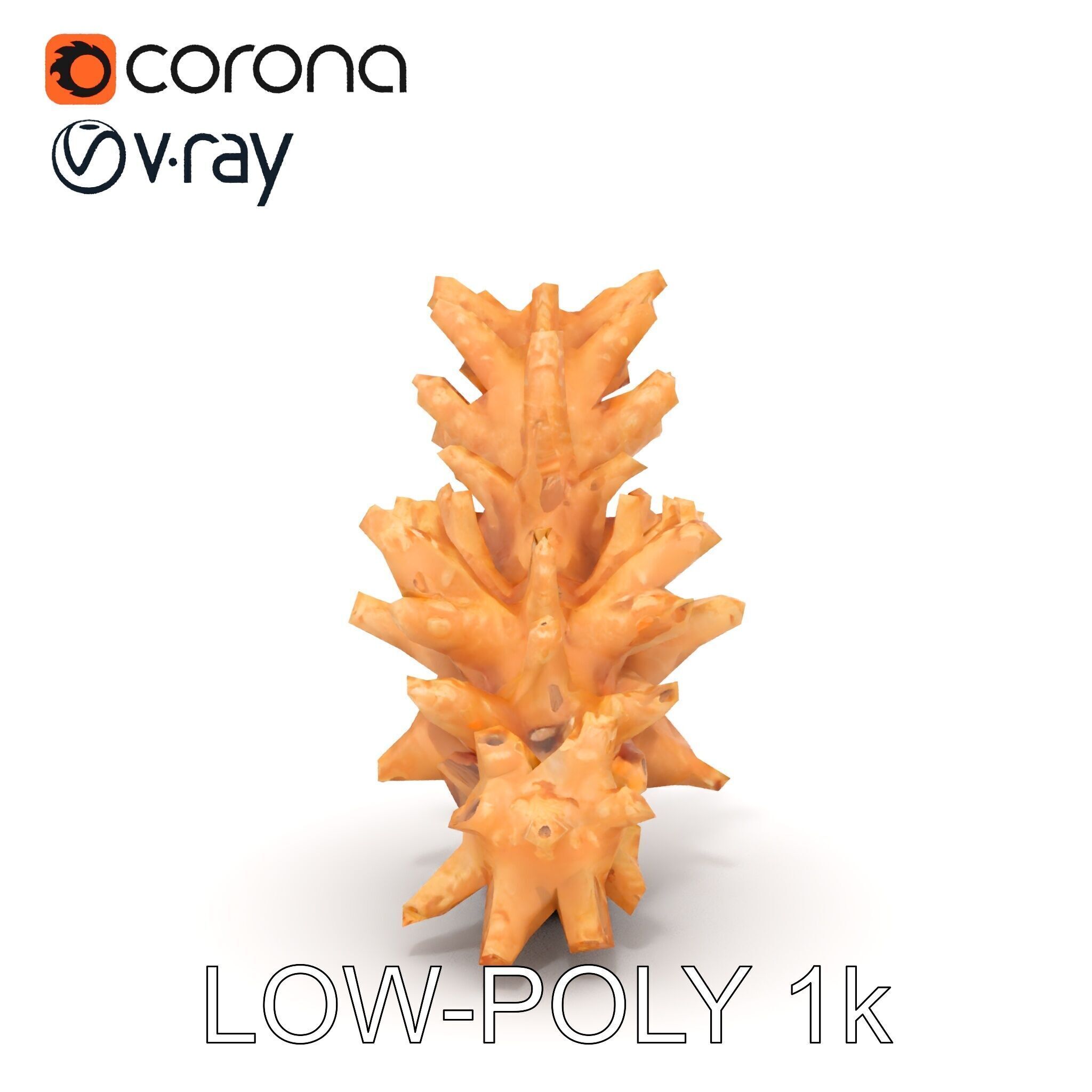 Realistic Coral Model Pack for Marine Environments Low-poly 3D model_26