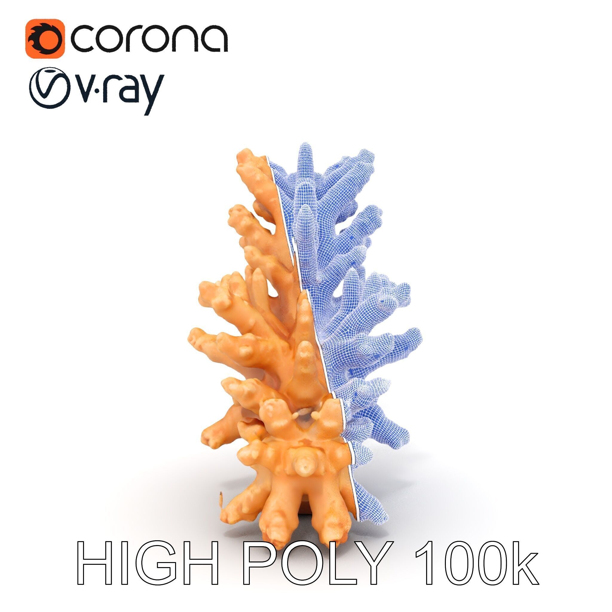 Realistic Coral Model Pack for Marine Environments Low-poly 3D model_35