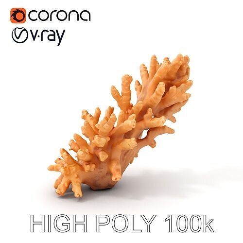 Realistic Coral Model Pack for Marine Environments Low-poly 3D model